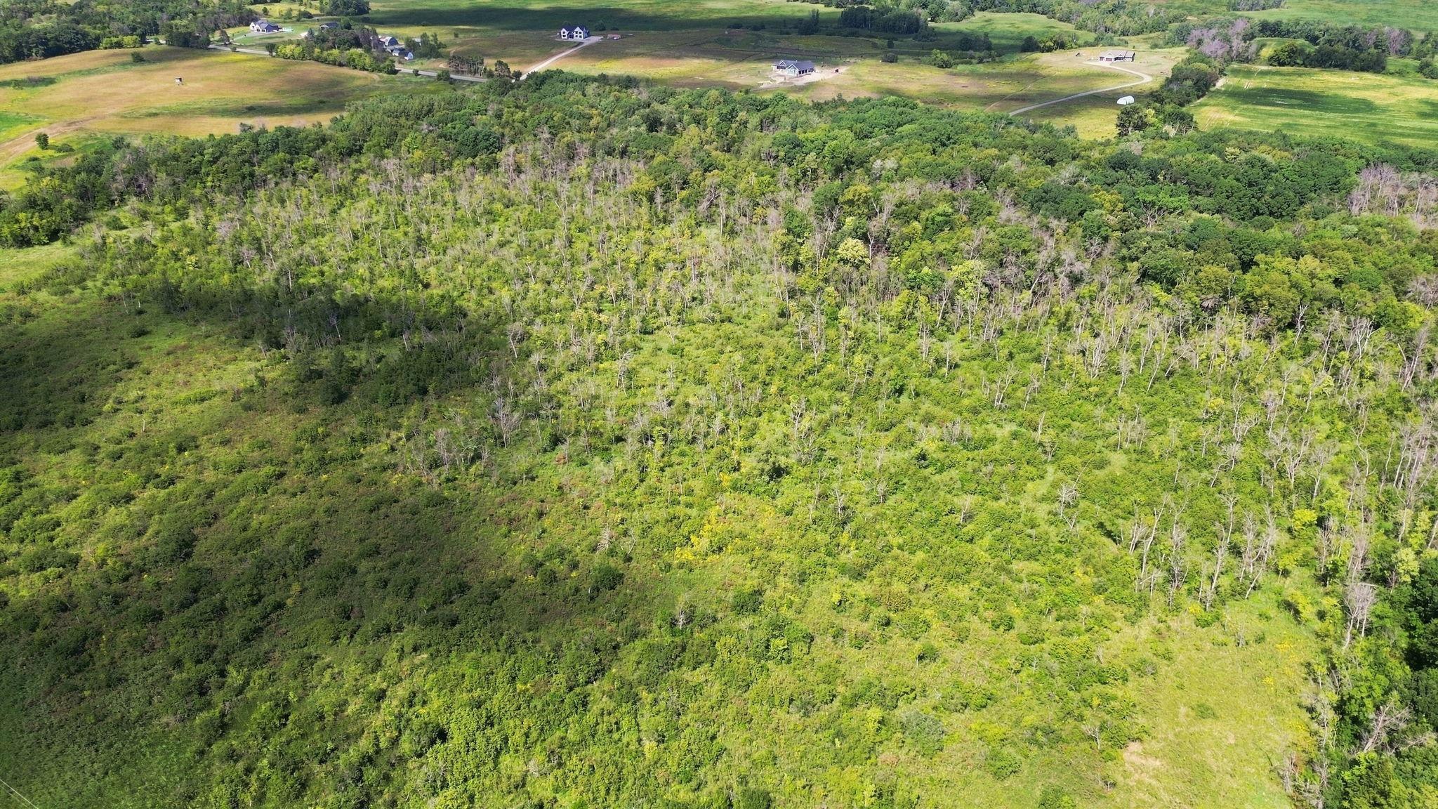 View of Land at 8056 181st Avenue, Ramsey MN 55303, Ramsey (5 of 6) - Mike Wilen | Minnesota Team Real Estate