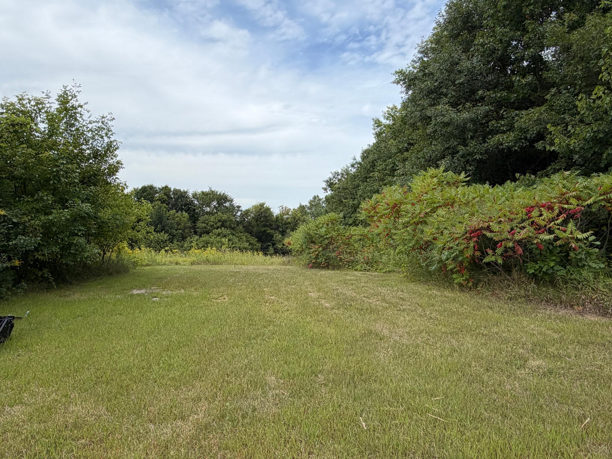 View of Residential at 10776 43rd Street, Annandale MN 55302, Annandale (32 of 37) - Mike Wilen | Minnesota Team Real Estate
