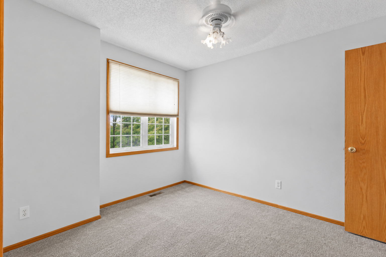 View of Residential at 12284 Zealand Circle, Champlin MN 55316, Champlin (17 of 25) - Mike Wilen | Minnesota Team Real Estate