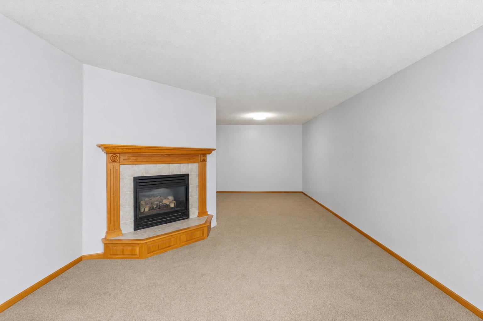 View of Residential at 12284 Zealand Circle, Champlin MN 55316, Champlin (7 of 25) - Mike Wilen | Minnesota Team Real Estate