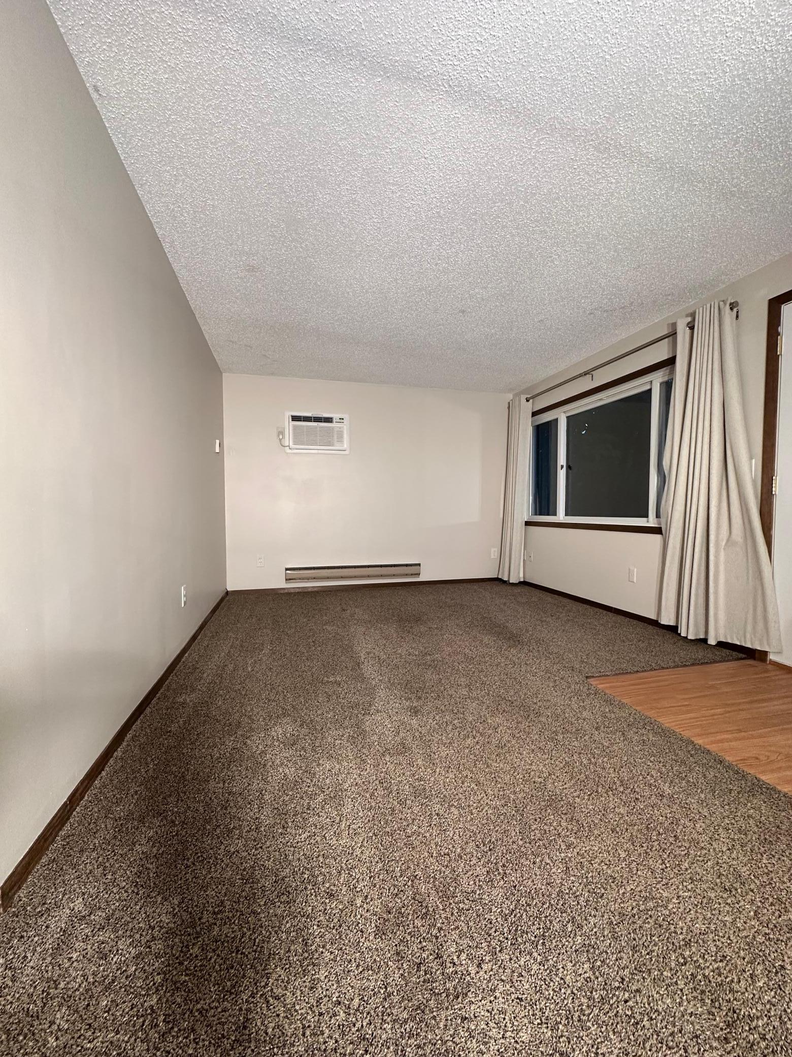 View of Residential Income at 520 State Street, Belle Plaine MN 56011, Belle Plaine (27 of 38) - Mike Wilen | Minnesota Team Real Estate