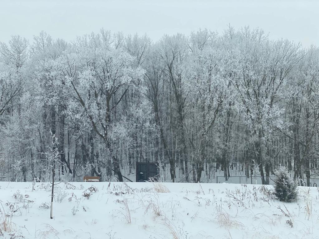 View of Residential at 18625 43rd Avenue, Plymouth MN 55446, Plymouth (96 of 96) - Mike Wilen | Minnesota Team Real Estate