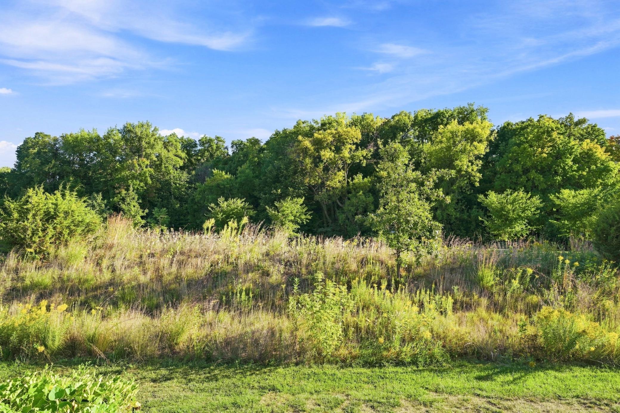 View of Residential at 18625 43rd Avenue, Plymouth MN 55446, Plymouth (74 of 96) - Mike Wilen | Minnesota Team Real Estate