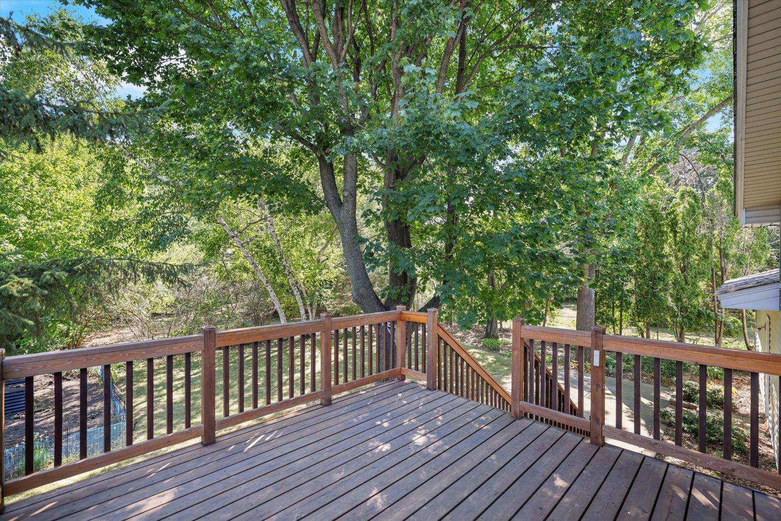 View of Residential at 11377 Lily Street, Coon Rapids MN 55433, Coon Rapids (49 of 55) - Mike Wilen | Minnesota Team Real Estate