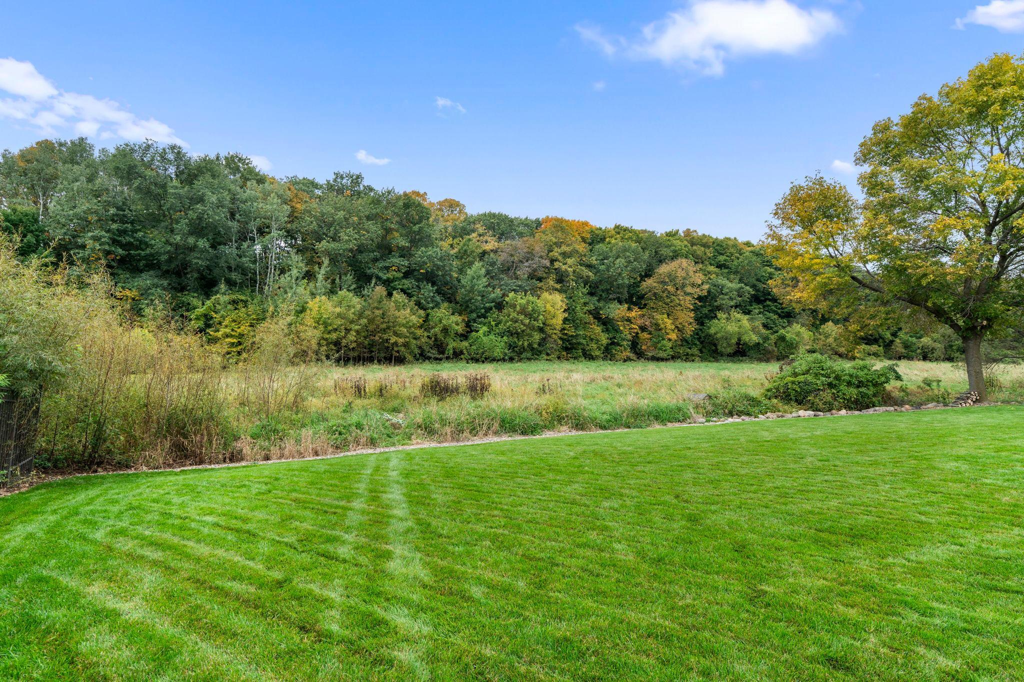 View of Residential at 1435 Wildflower Lane, Chaska MN 55318, Chaska (51 of 58) - Mike Wilen | Minnesota Team Real Estate