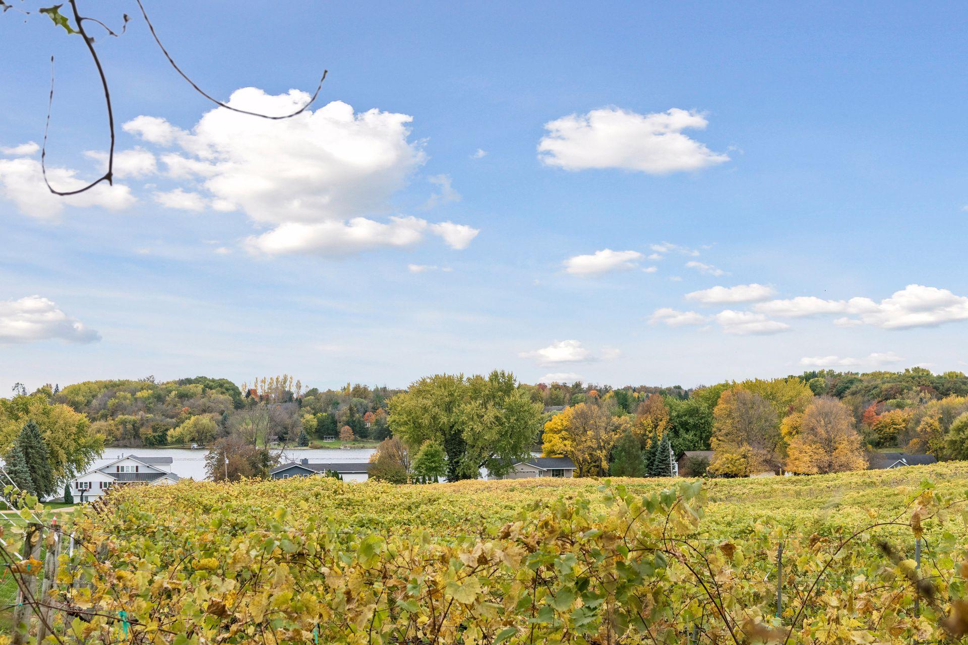 View of Residential at 8775 Airport Road, Waconia MN 55387, Waconia (11 of 36) - Mike Wilen | Minnesota Team Real Estate