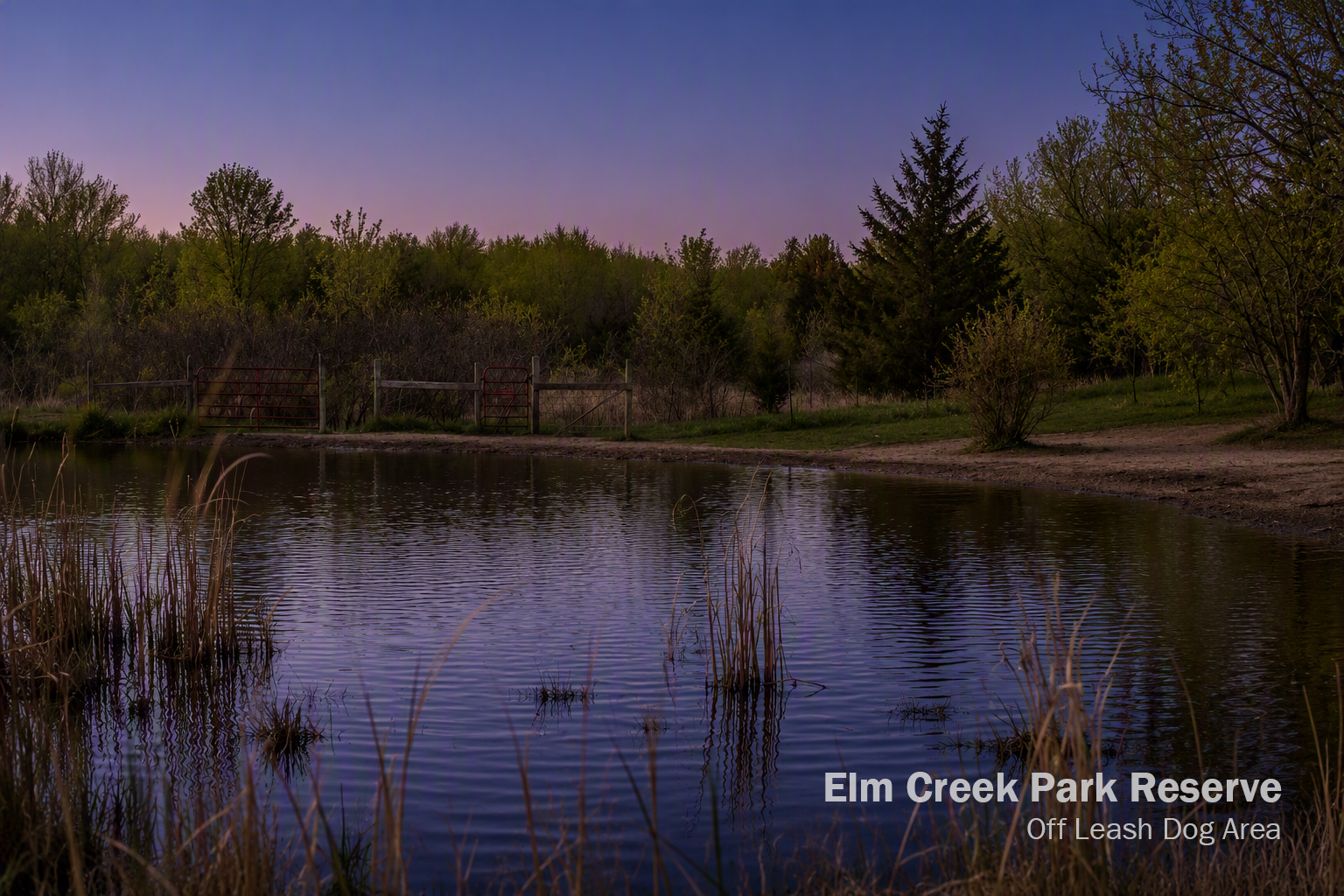 View of Residential at 8214 109th Place, Champlin MN 55316, Champlin (78 of 79) - Mike Wilen | Minnesota Team Real Estate