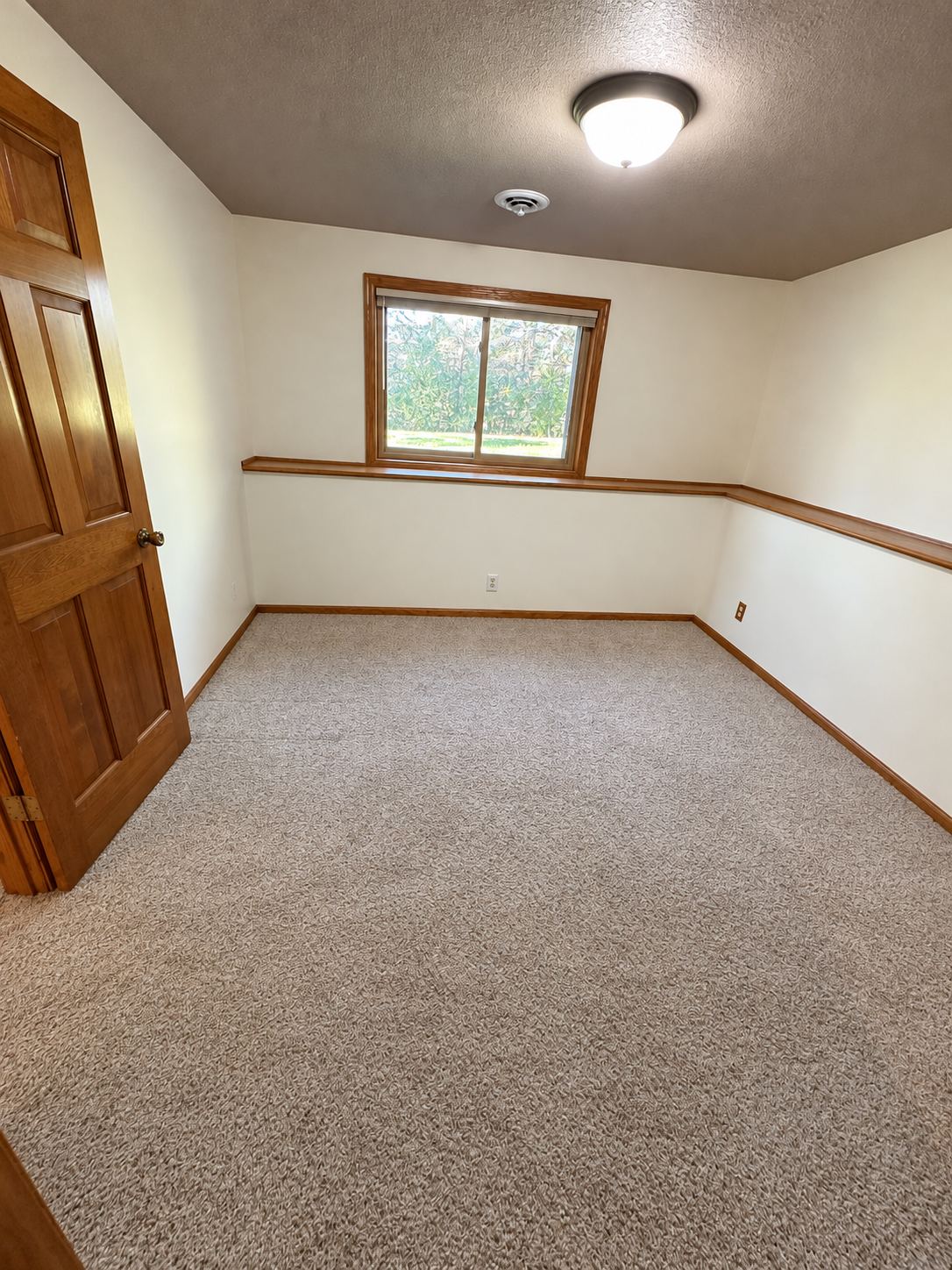 View of Residential at 14372 Jonquil Street, Andover MN 55304, Andover (29 of 36) - Mike Wilen | Minnesota Team Real Estate