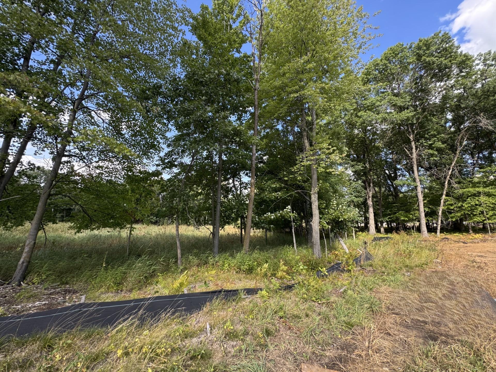View of Residential at 4933 149th Avenue, Ham Lake MN 55304, Ham Lake (6 of 14) - Mike Wilen | Minnesota Team Real Estate