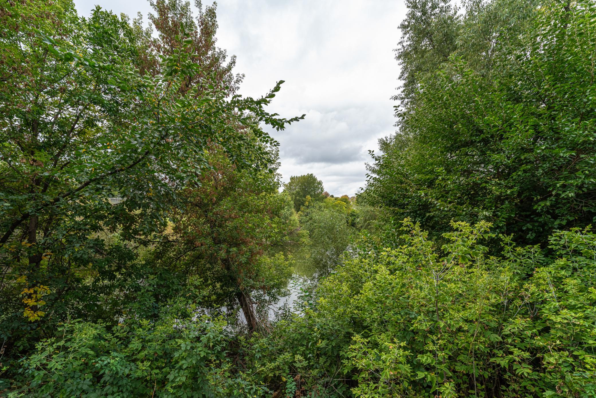 View of Residential at 8348 Foxberry Drive, Savage MN 55378, Savage (63 of 67) - Mike Wilen | Minnesota Team Real Estate