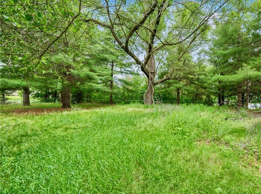 View of Land at XX Buffalo Lane, Shoreview MN 55126, Shoreview (9 of 9) - Mike Wilen | Minnesota Team Real Estate