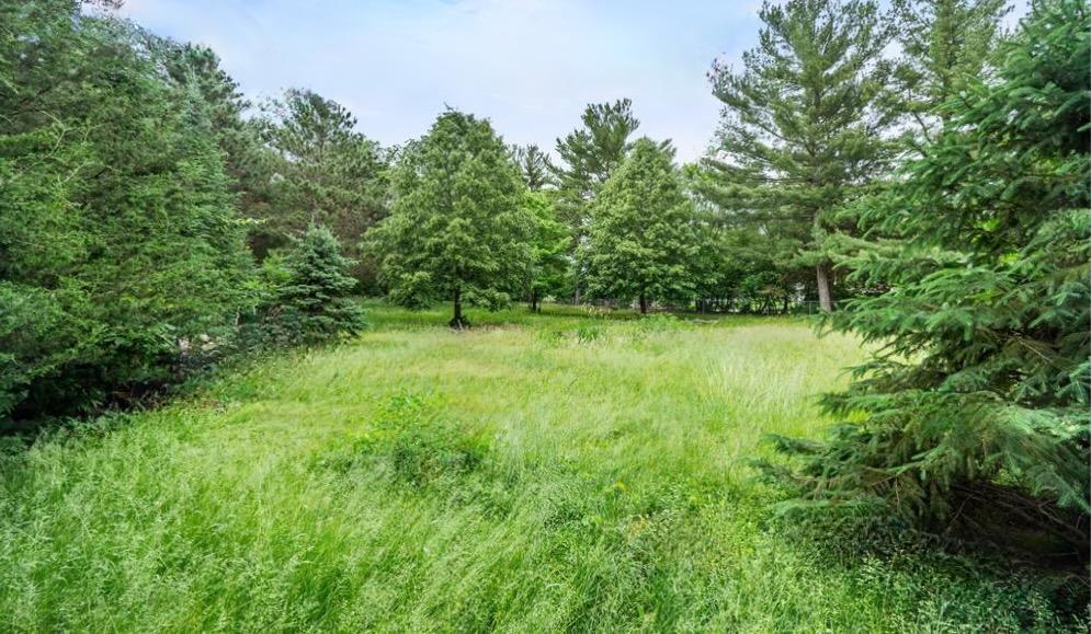 View of Land at XX Buffalo Lane, Shoreview MN 55126, Shoreview (7 of 9) - Mike Wilen | Minnesota Team Real Estate