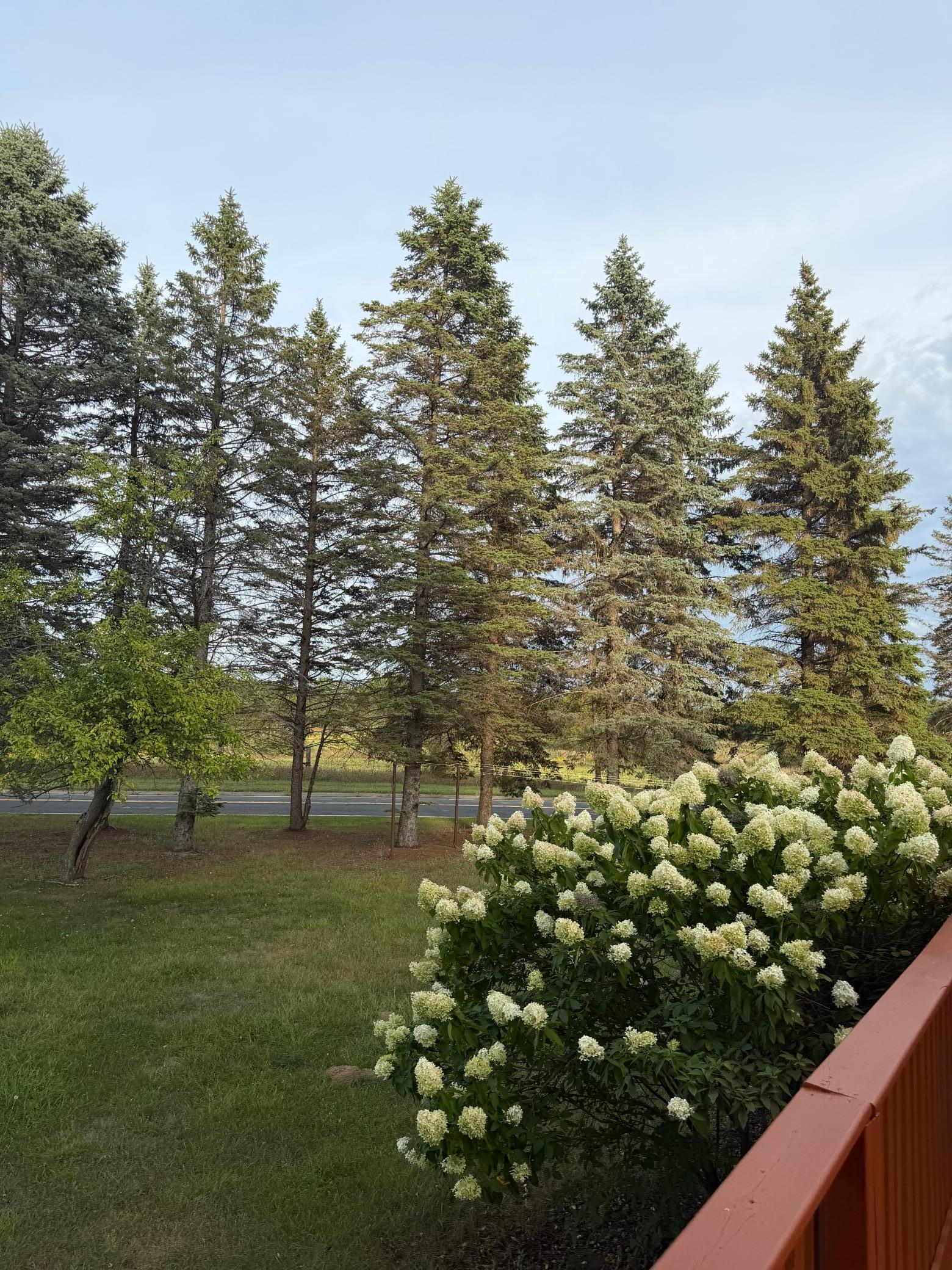 View of Residential at 31 Old Constance Boulevard, Andover MN 55304, Andover (42 of 42) - Mike Wilen | Minnesota Team Real Estate