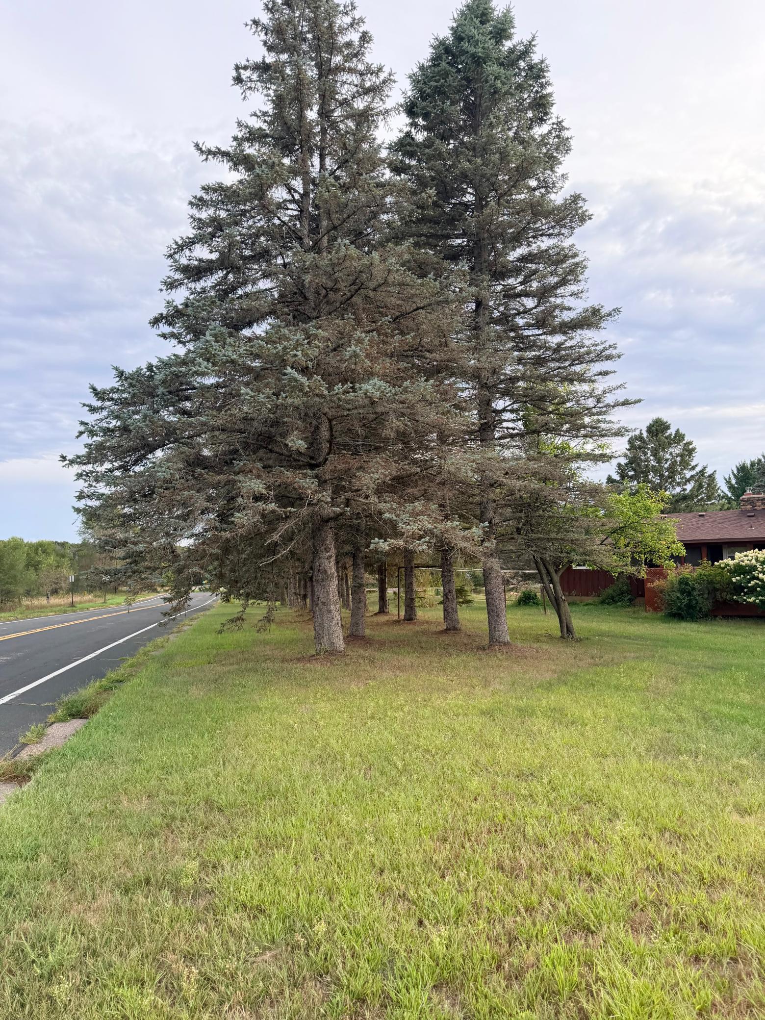 View of Residential at 31 Old Constance Boulevard, Andover MN 55304, Andover (38 of 42) - Mike Wilen | Minnesota Team Real Estate