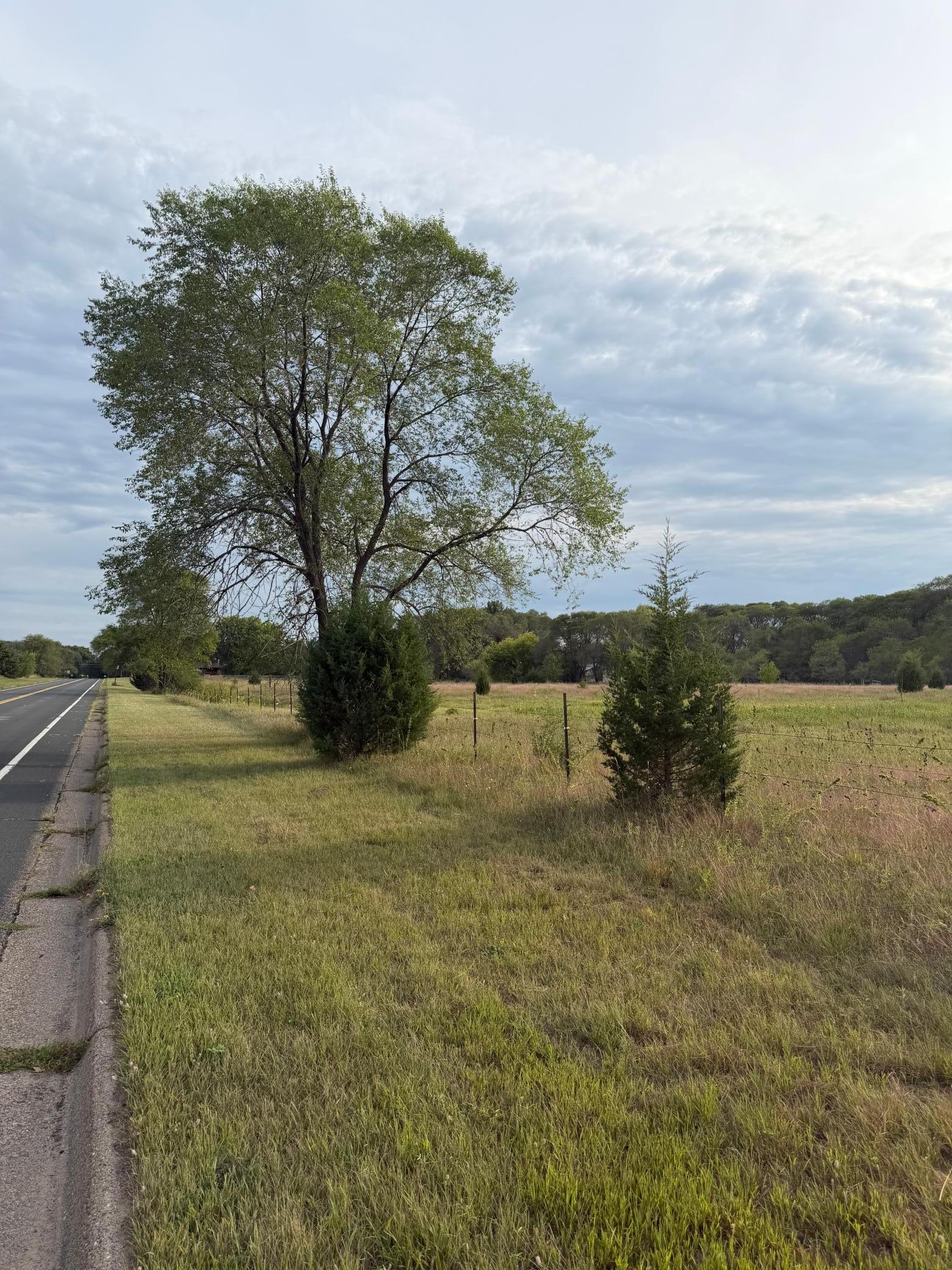 View of Residential at 31 Old Constance Boulevard, Andover MN 55304, Andover (36 of 42) - Mike Wilen | Minnesota Team Real Estate