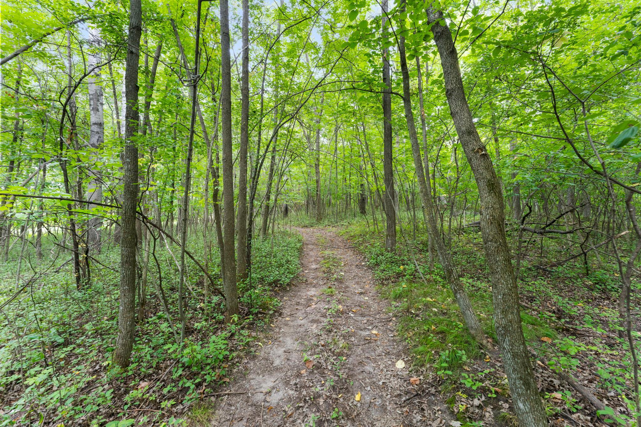 View of Residential at 44727 Anchor Avenue, Harris MN 55032, Harris (98 of 114) - Mike Wilen | Minnesota Team Real Estate