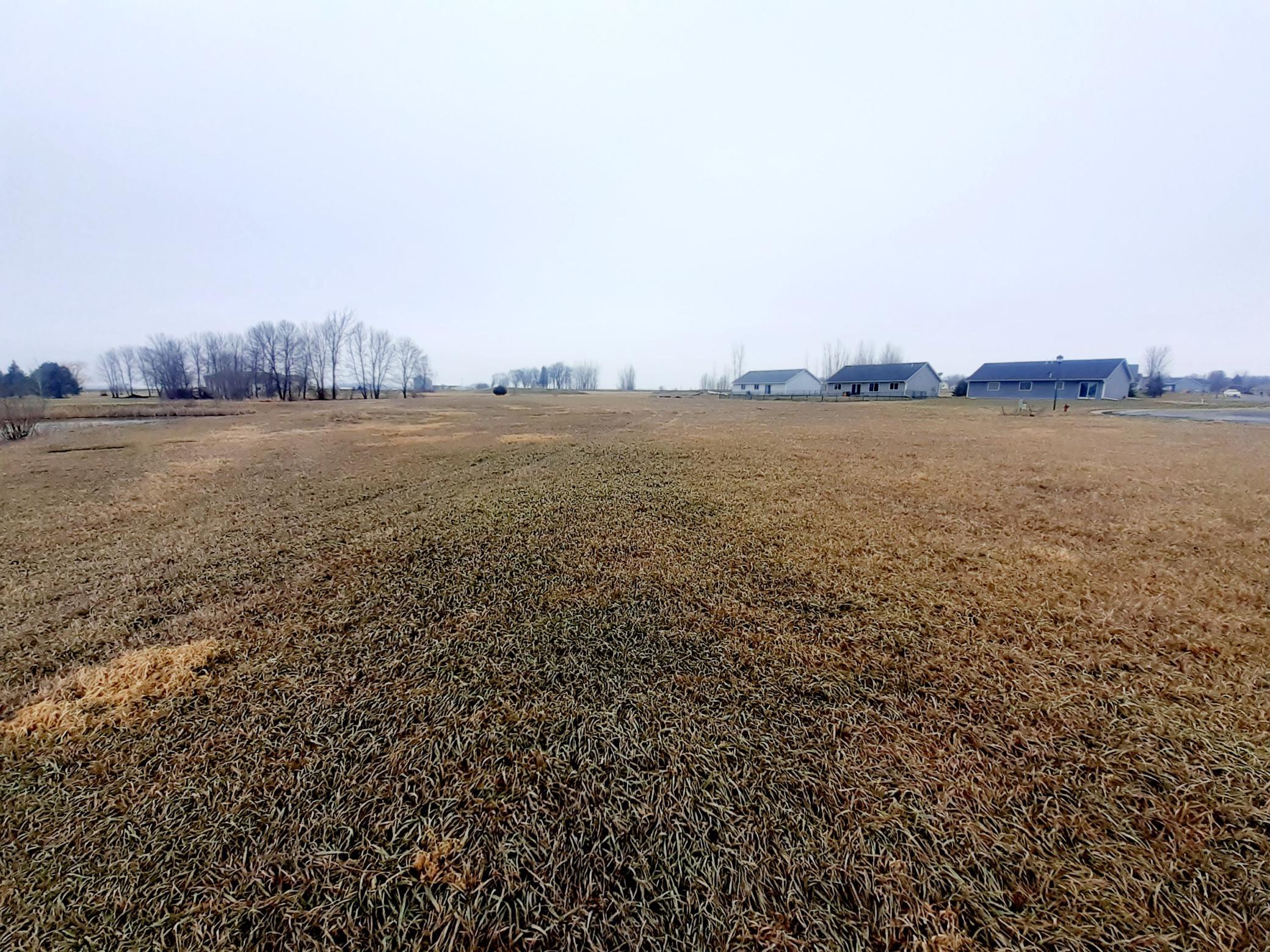 View of Land at XXX Soeffker Circle, Arlington MN 55307, Arlington (5 of 7) - Mike Wilen | Minnesota Team Real Estate
