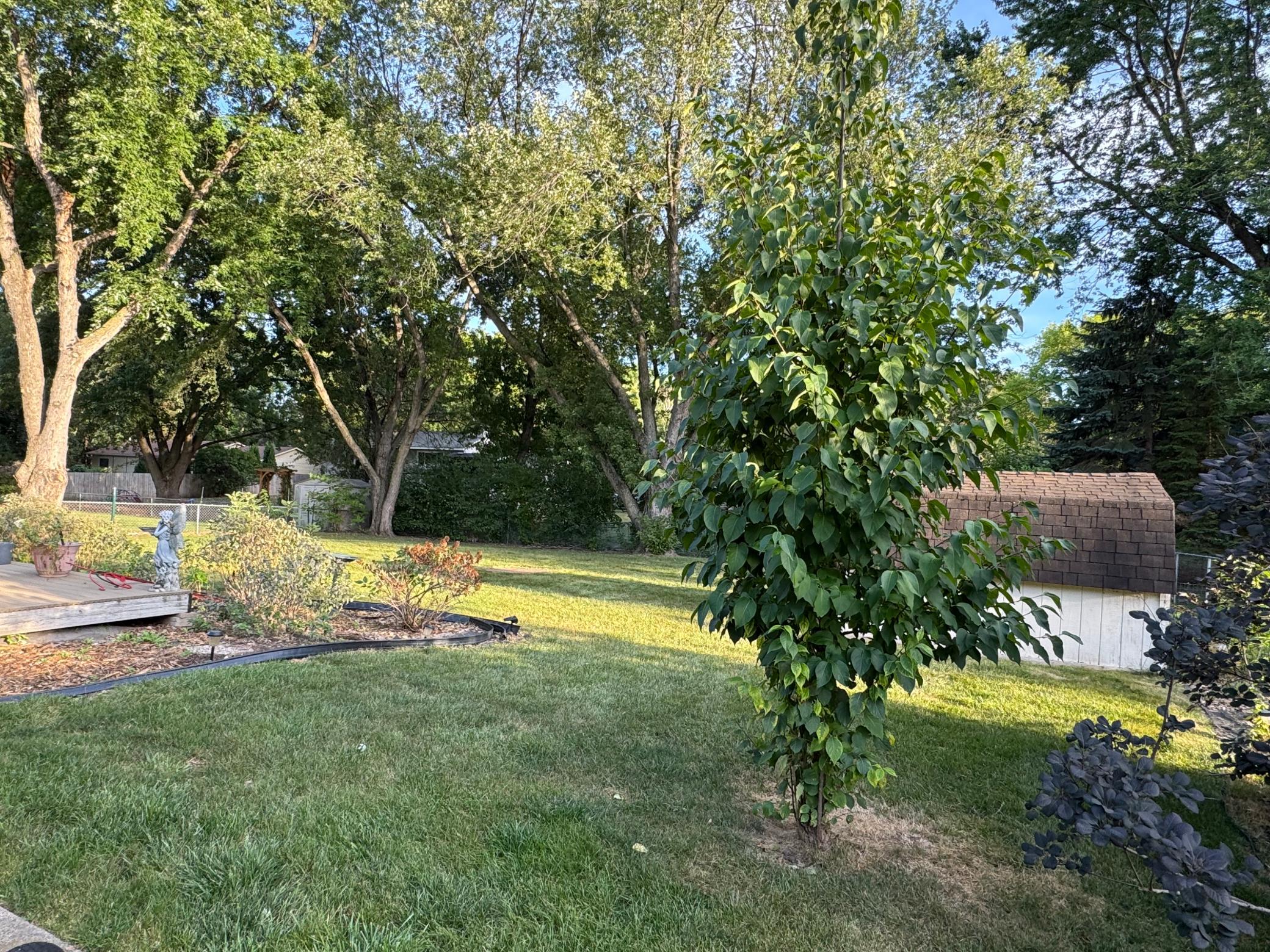 View of Residential at 10557 104th Place, Maple Grove MN 55369, Maple Grove (13 of 16) - Mike Wilen | Minnesota Team Real Estate