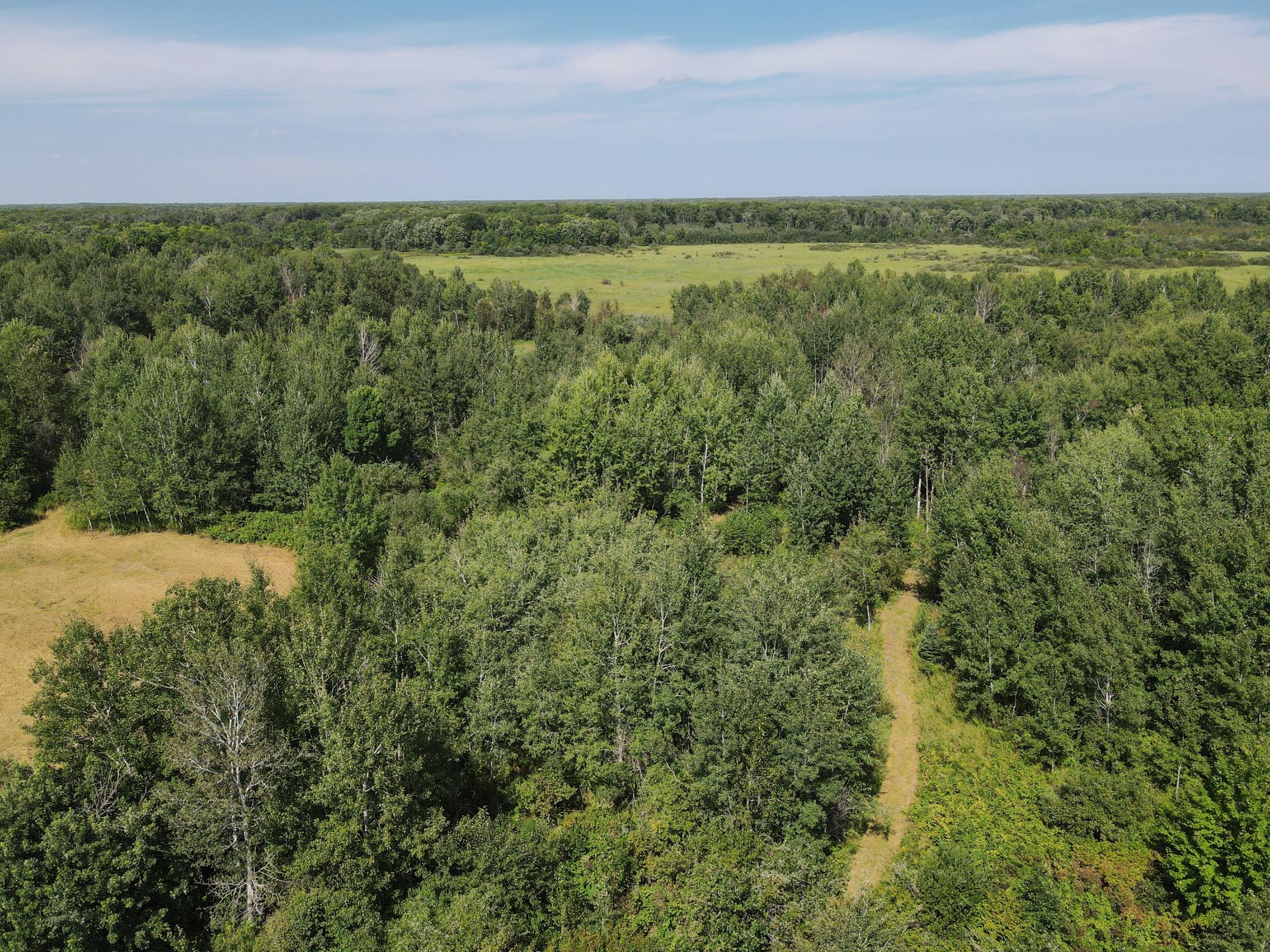 View of Residential at 14586 Lynx Road, Milaca MN 56353, Milaca (83 of 85) - Mike Wilen | Minnesota Team Real Estate