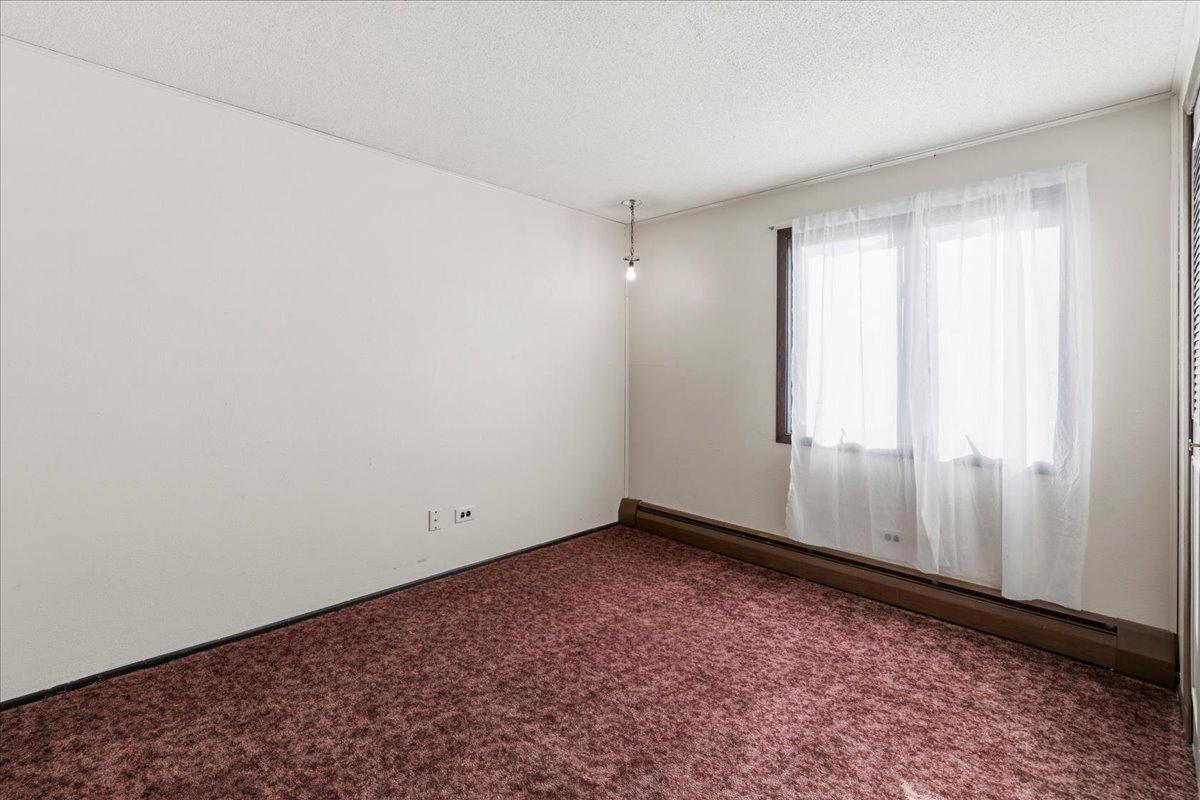 View of Residential at 170 Albert Street, Loretto MN 55357, Loretto (14 of 27) - Mike Wilen | Minnesota Team Real Estate