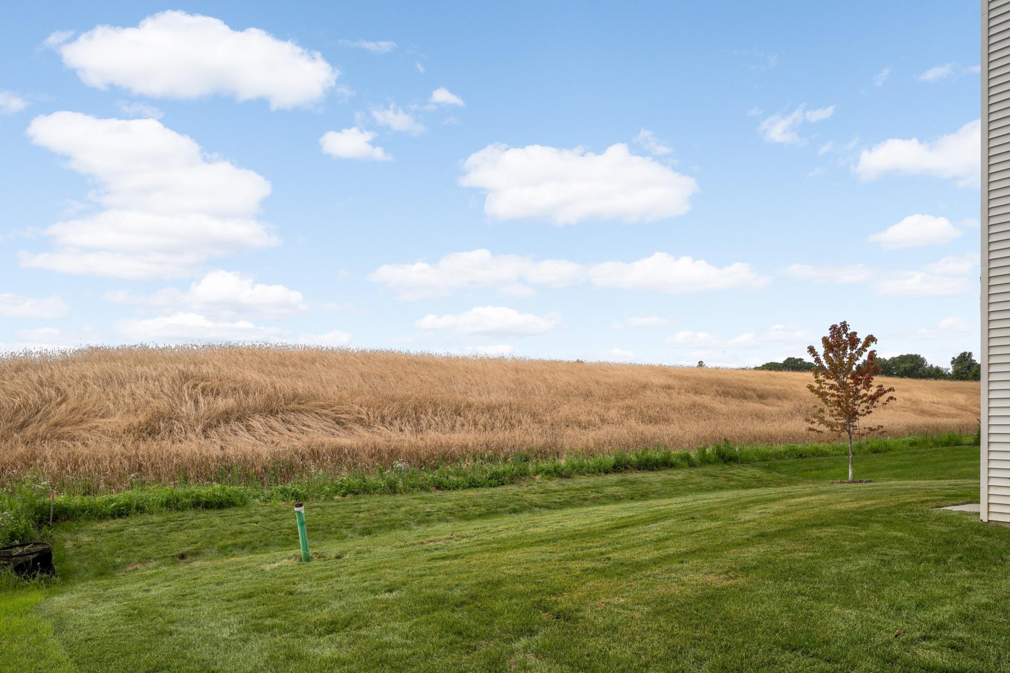 View of Residential at 8292 186th Street, Lakeville MN 55044, Lakeville (34 of 34) - Mike Wilen | Minnesota Team Real Estate