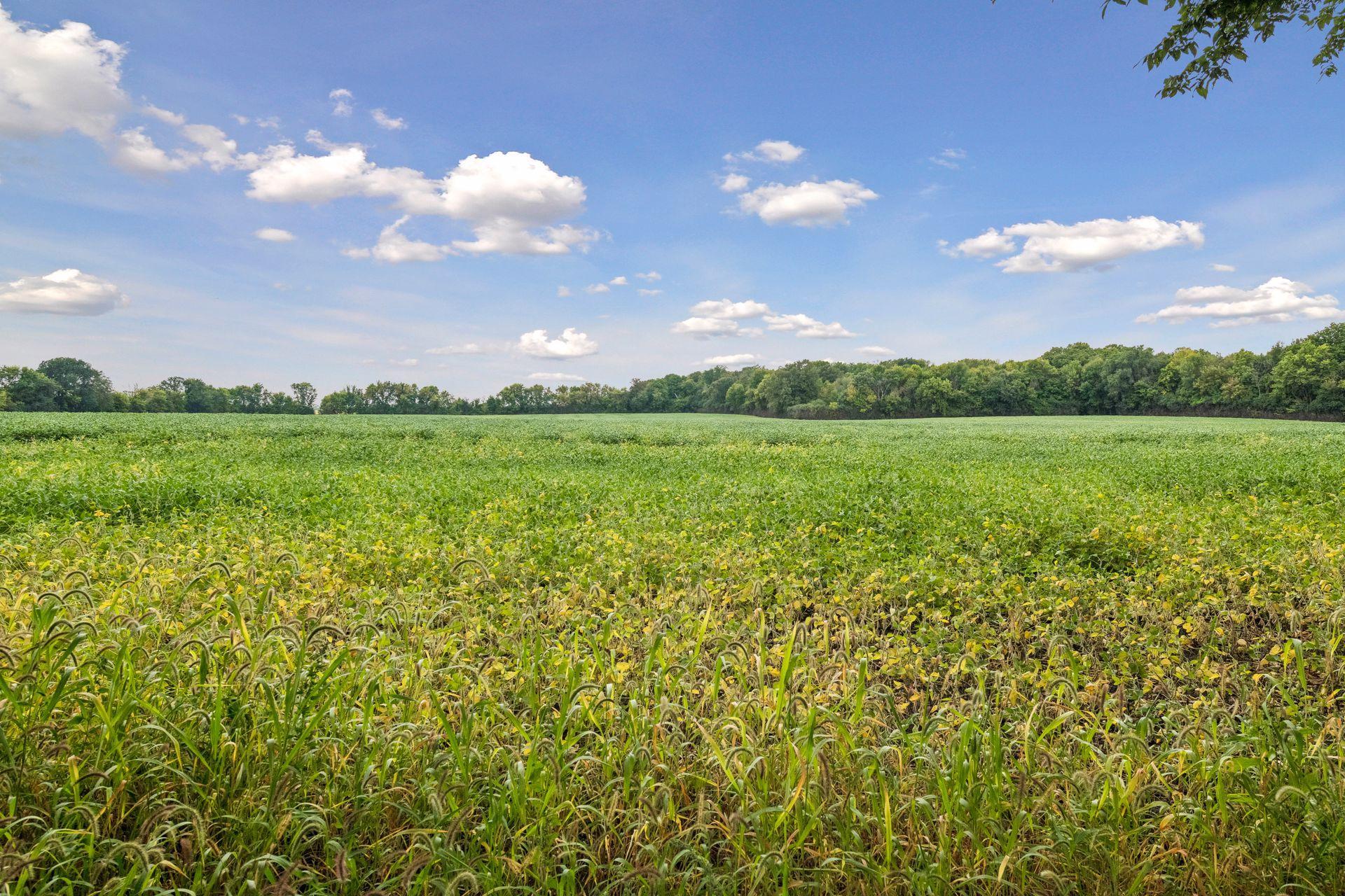 View of Residential at 1519 Hidden Trail, Mayer MN 55360, Mayer (27 of 27) - Mike Wilen | Minnesota Team Real Estate