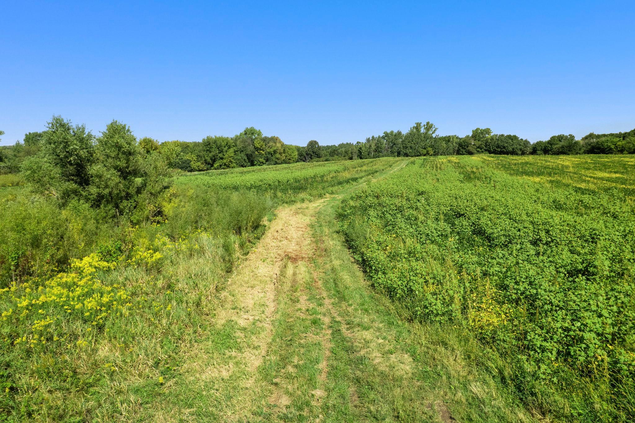 View of Land at TBD 260th Street, Elko New Market MN 55020, Elko New Market (12 of 12) - Mike Wilen | Minnesota Team Real Estate