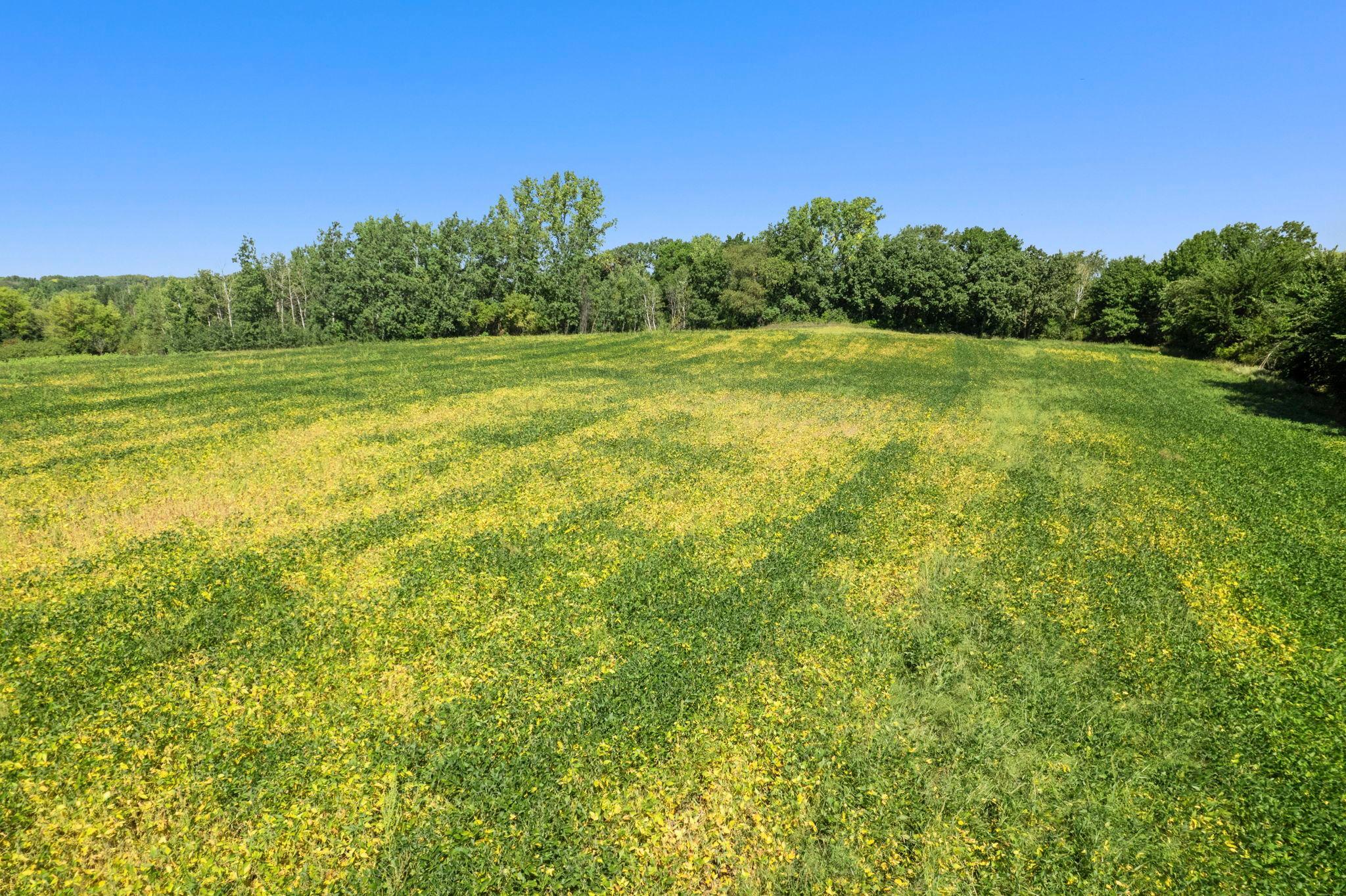 View of Land at TBD 260th Street, Elko New Market MN 55020, Elko New Market (11 of 12) - Mike Wilen | Minnesota Team Real Estate