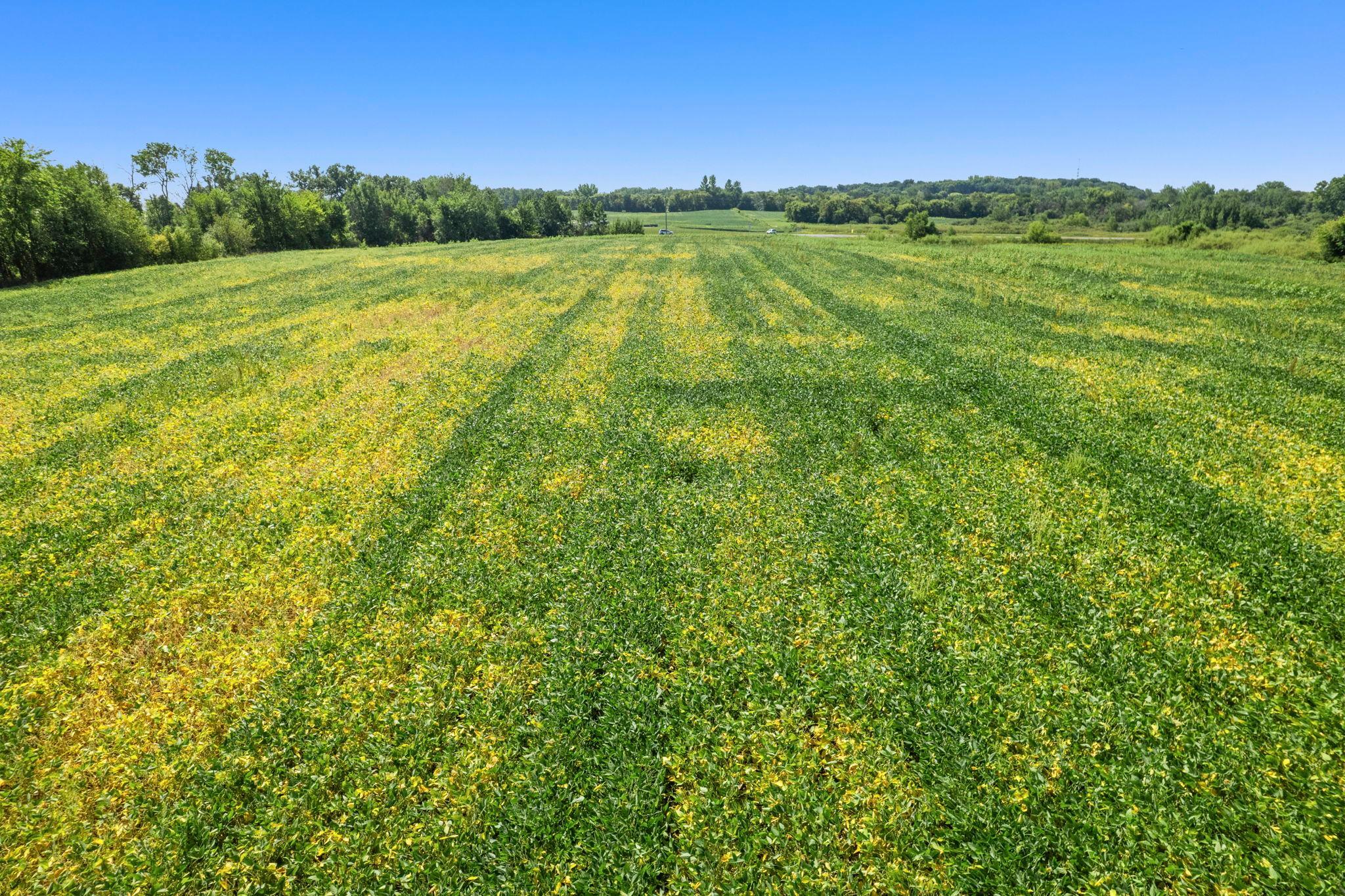 View of Land at TBD 260th Street, Elko New Market MN 55020, Elko New Market (10 of 12) - Mike Wilen | Minnesota Team Real Estate