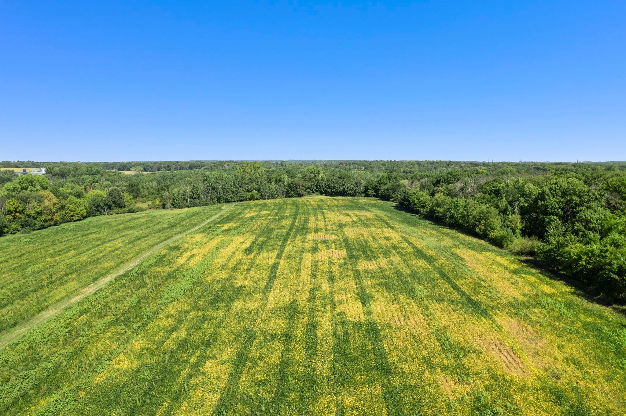 View of Land at TBD 260th Street, Elko New Market MN 55020, Elko New Market (8 of 12) - Mike Wilen | Minnesota Team Real Estate