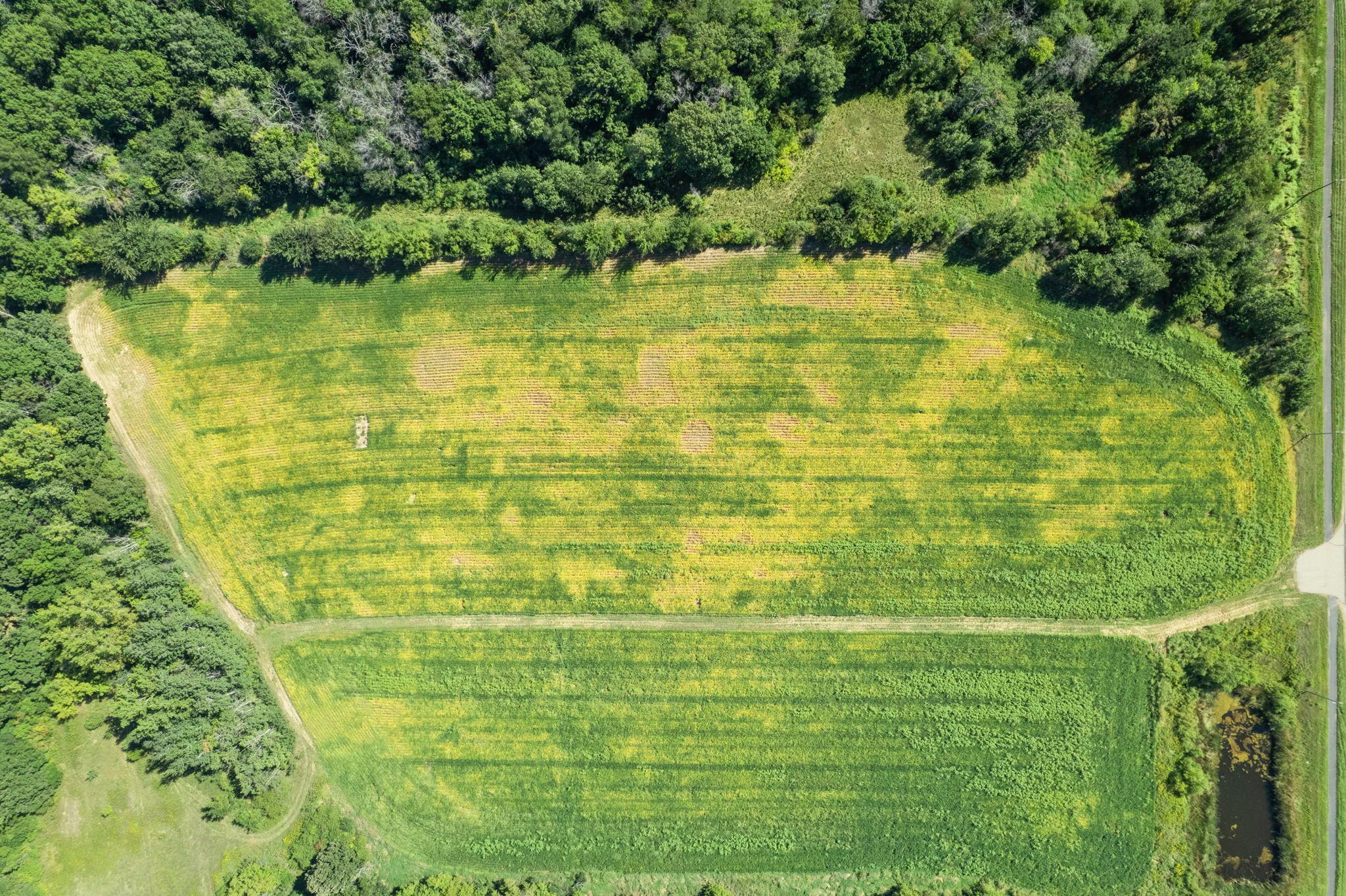 View of Land at TBD 260th Street, Elko New Market MN 55020, Elko New Market (7 of 12) - Mike Wilen | Minnesota Team Real Estate
