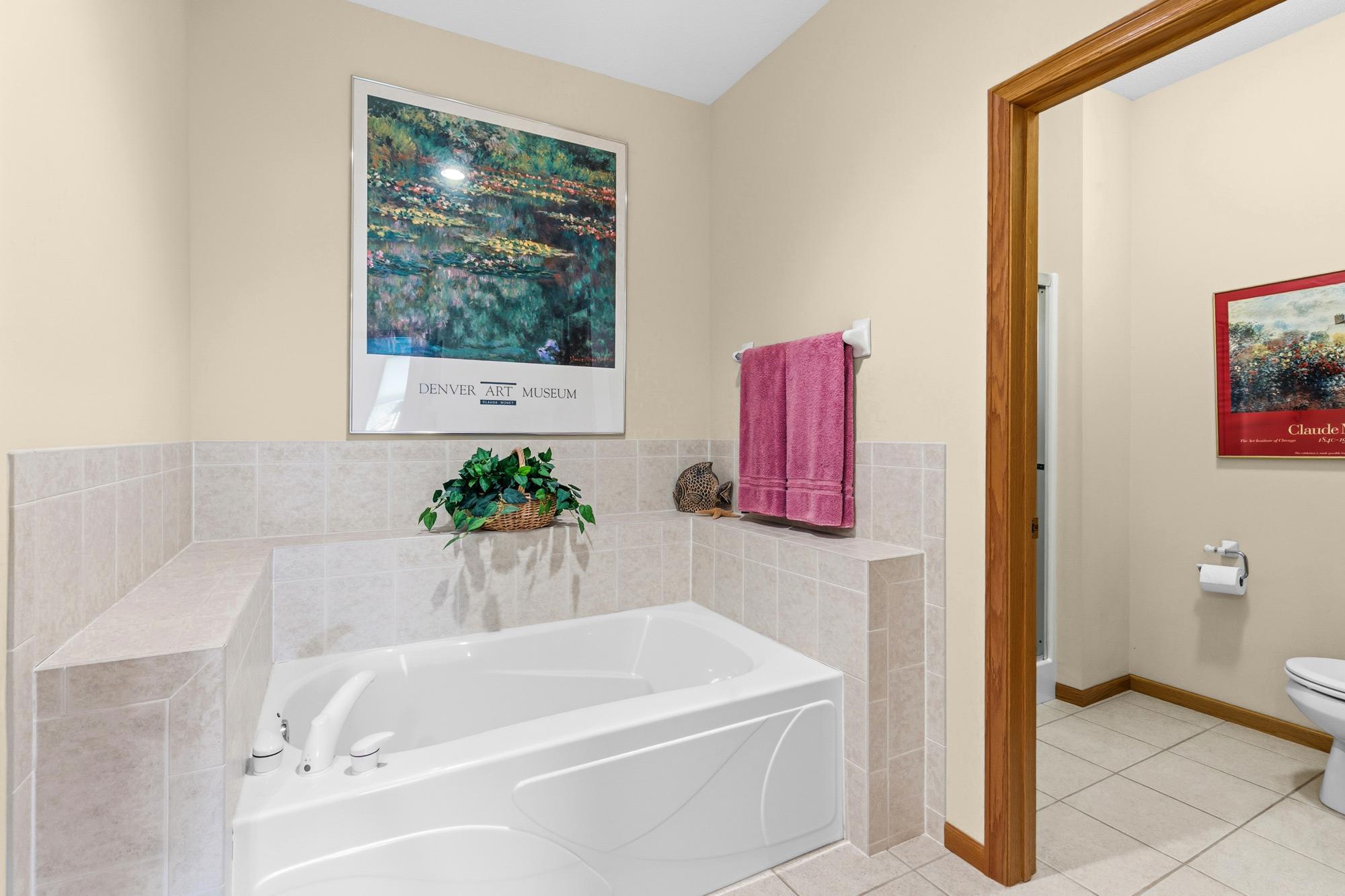 View of Residential at 5237 141st Street, Hugo MN 55038, Hugo (25 of 33) - Mike Wilen | Minnesota Team Real Estate