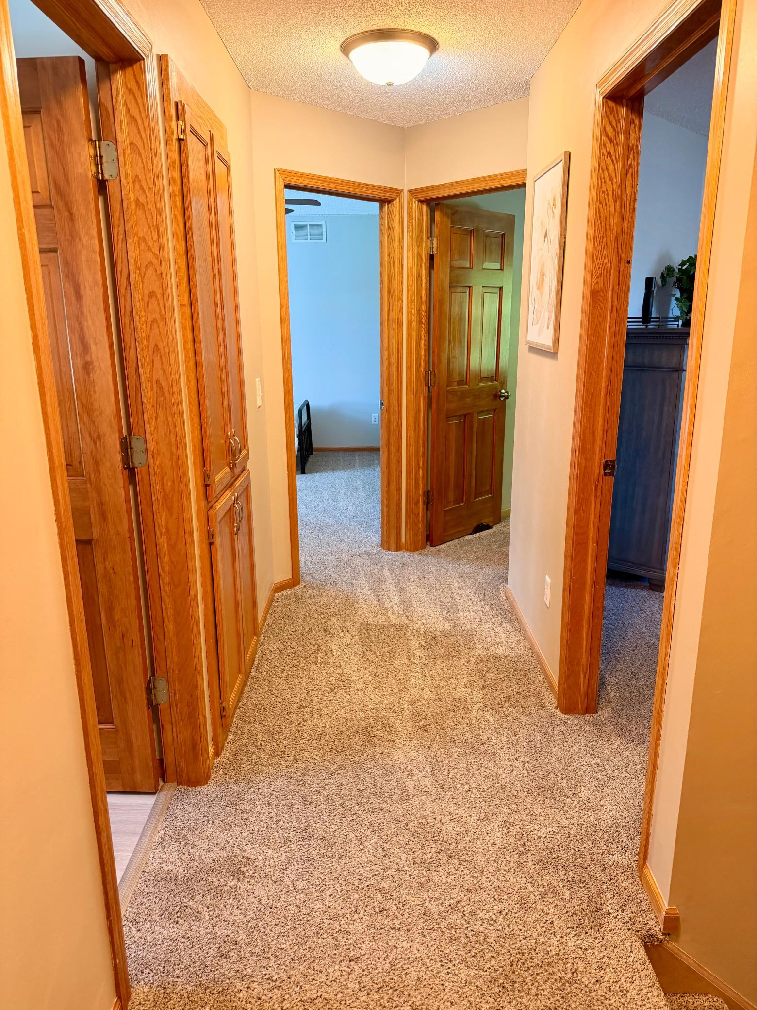 View of Residential at 13959 Virginia Avenue, Savage MN 55378, Savage (57 of 69) - Mike Wilen | Minnesota Team Real Estate