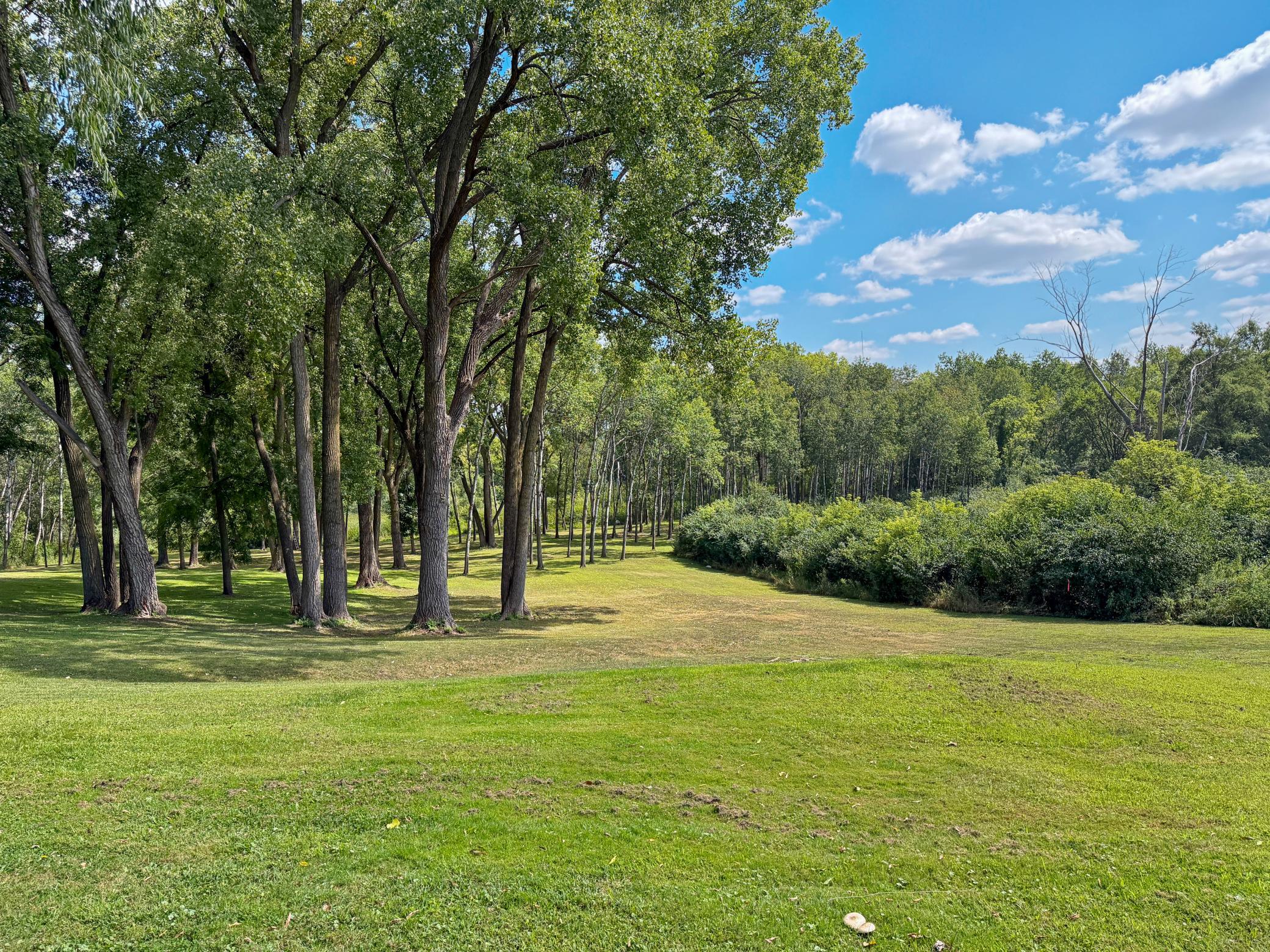 View of Land at 3032 Labore Road, Little Canada MN 55109, Little Canada - Mike Wilen | Minnesota Team Real Estate