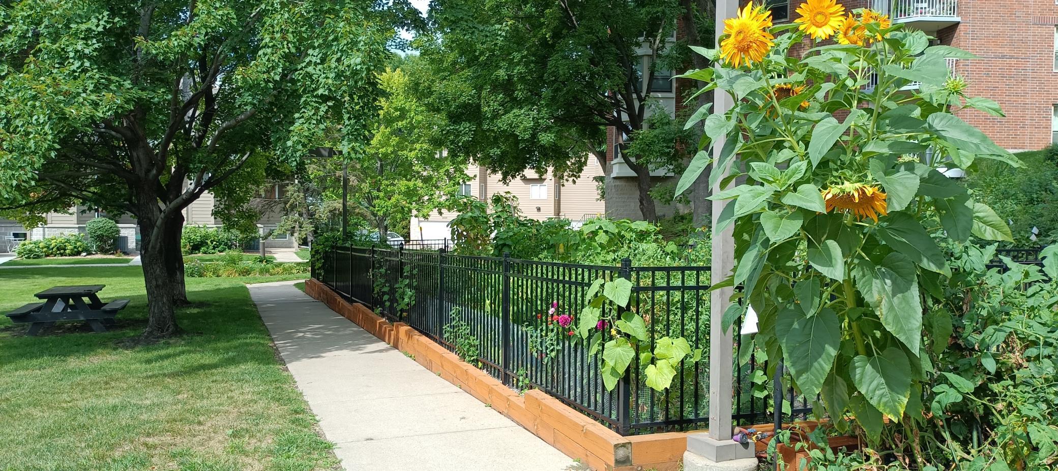 View of Residential at 1425 28th Street #618, Minneapolis MN 55408, Minneapolis (25 of 27) - Mike Wilen | Minnesota Team Real Estate