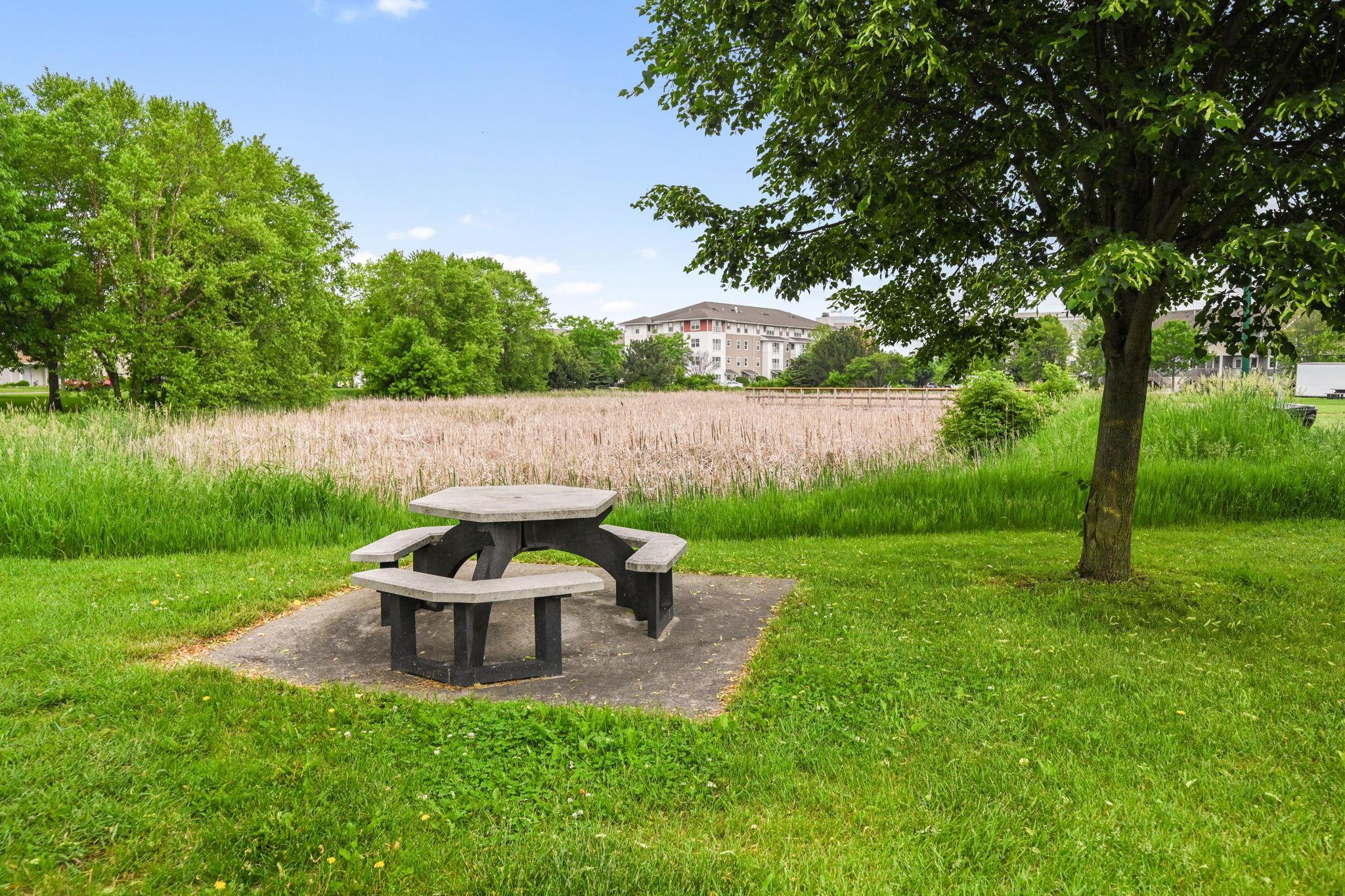 View of Residential at 3062 Walden Drive, Chaska MN 55318, Chaska (43 of 51) - Mike Wilen | Minnesota Team Real Estate