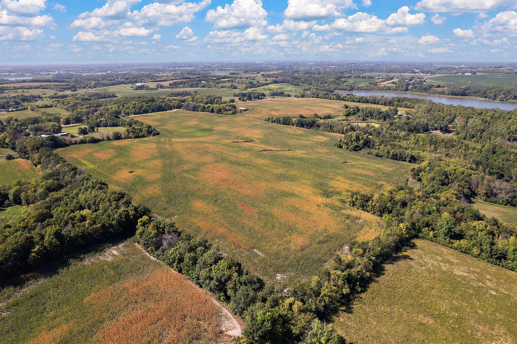 View of Land at 3236X Gabler Avenue, Buffalo MN 55313, Buffalo (2 of 24) - Mike Wilen | Minnesota Team Real Estate
