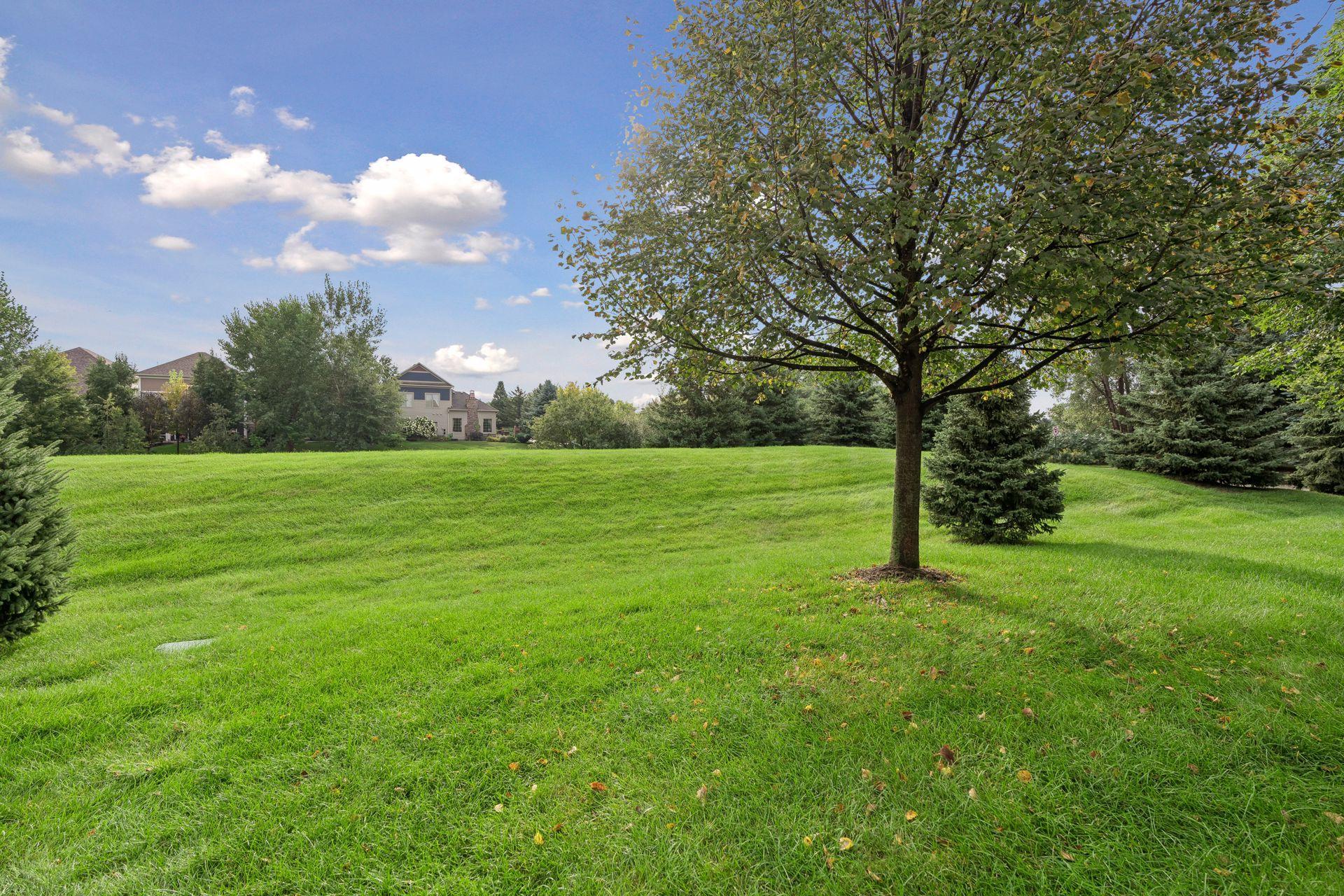 View of Residential at 12411 Coral Sea Street, Blaine MN 55449, Blaine (25 of 32) - Mike Wilen | Minnesota Team Real Estate