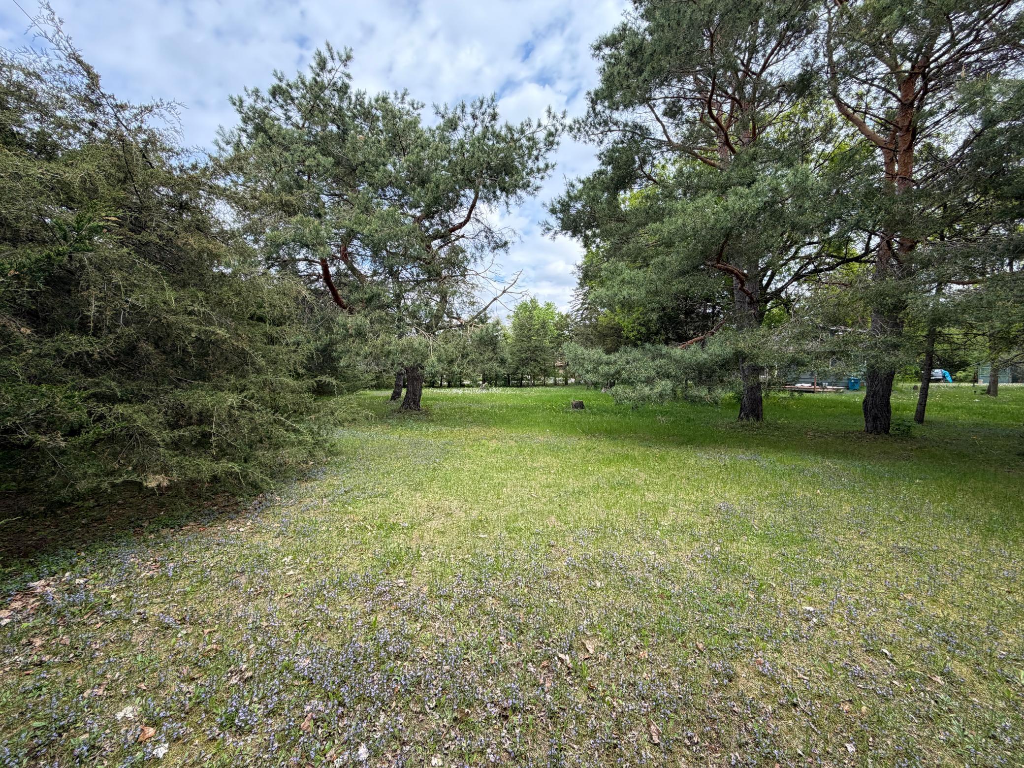 View of Residential at 980 Porter Street, Clearwater MN 55320, Clearwater (15 of 19) - Mike Wilen | Minnesota Team Real Estate