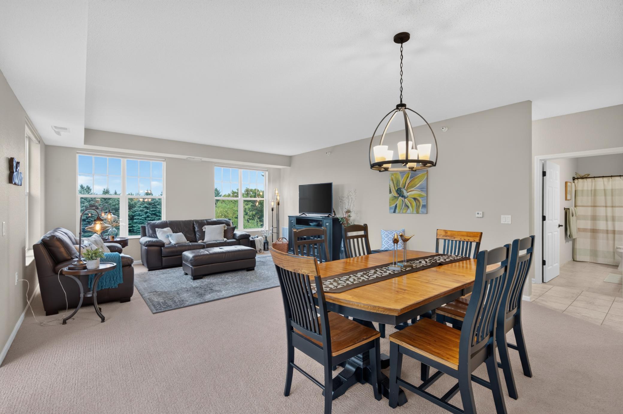 View of Residential at 100 Clydesdale Trail #205, Medina MN 55340, Medina (12 of 31) - Mike Wilen | Minnesota Team Real Estate