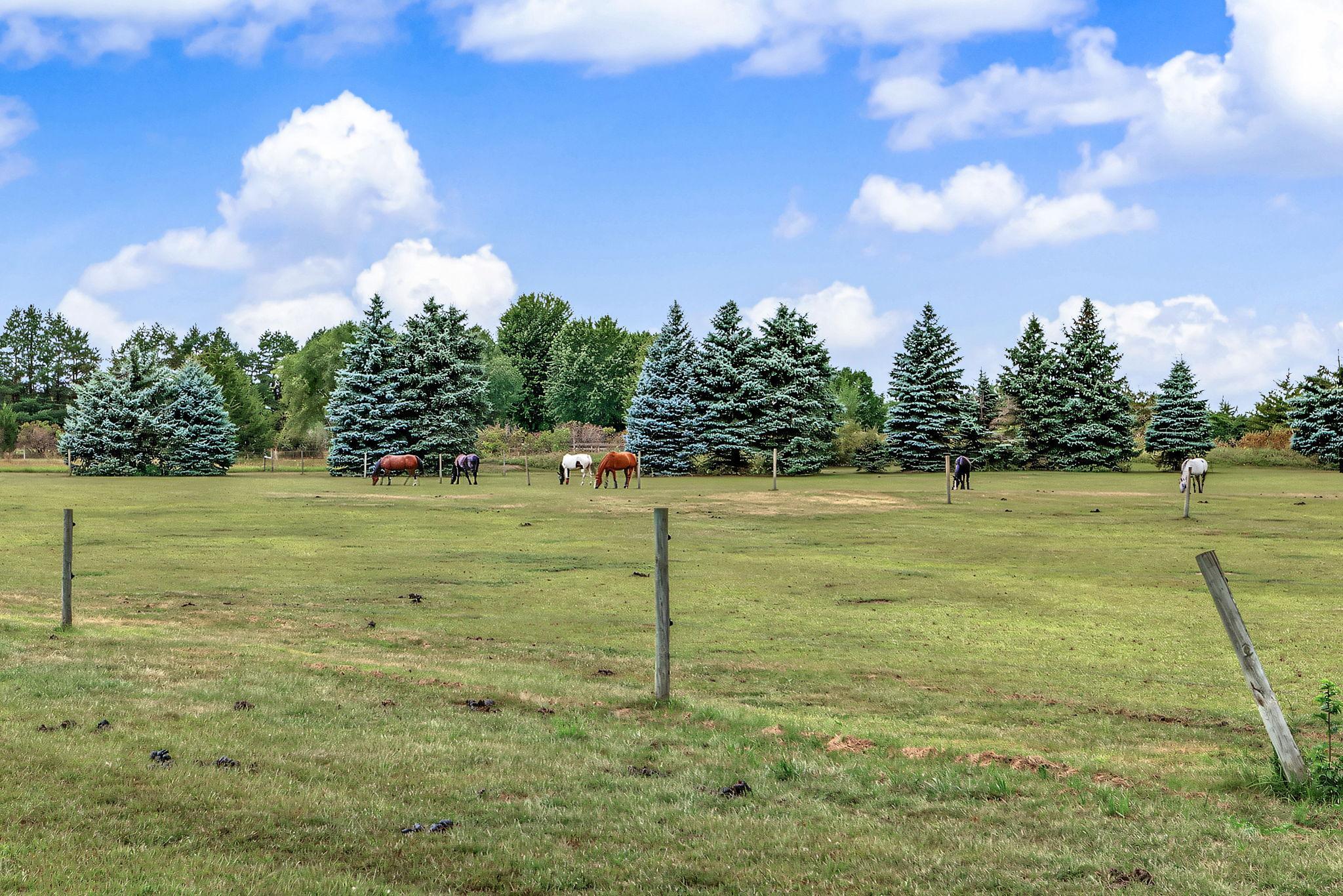 View of Residential at 6050 185th Street, Jordan MN 55352, Jordan (60 of 69) - Mike Wilen | Minnesota Team Real Estate