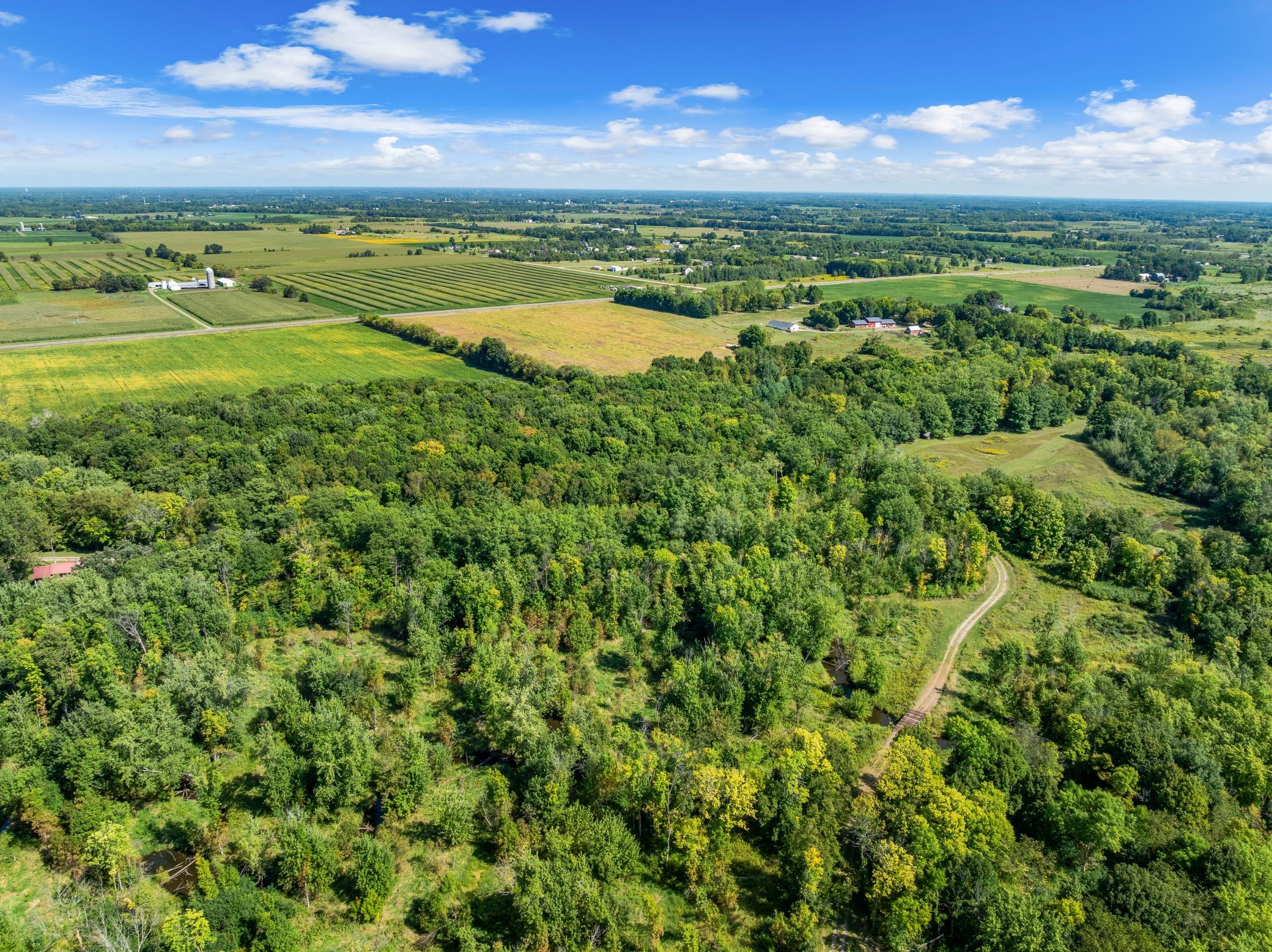 View of Land at XXX County Road 12, Princeton MN 55371, Princeton (17 of 67) - Mike Wilen | Minnesota Team Real Estate