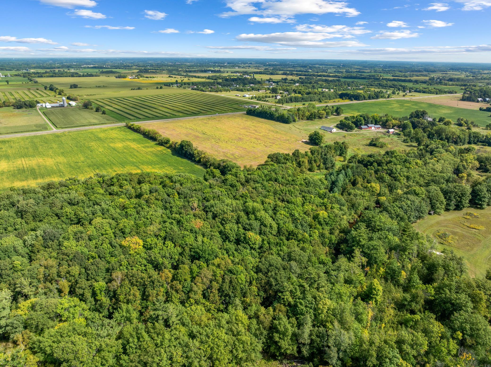 View of Land at XXX County Road 12, Princeton MN 55371, Princeton (56 of 67) - Mike Wilen | Minnesota Team Real Estate