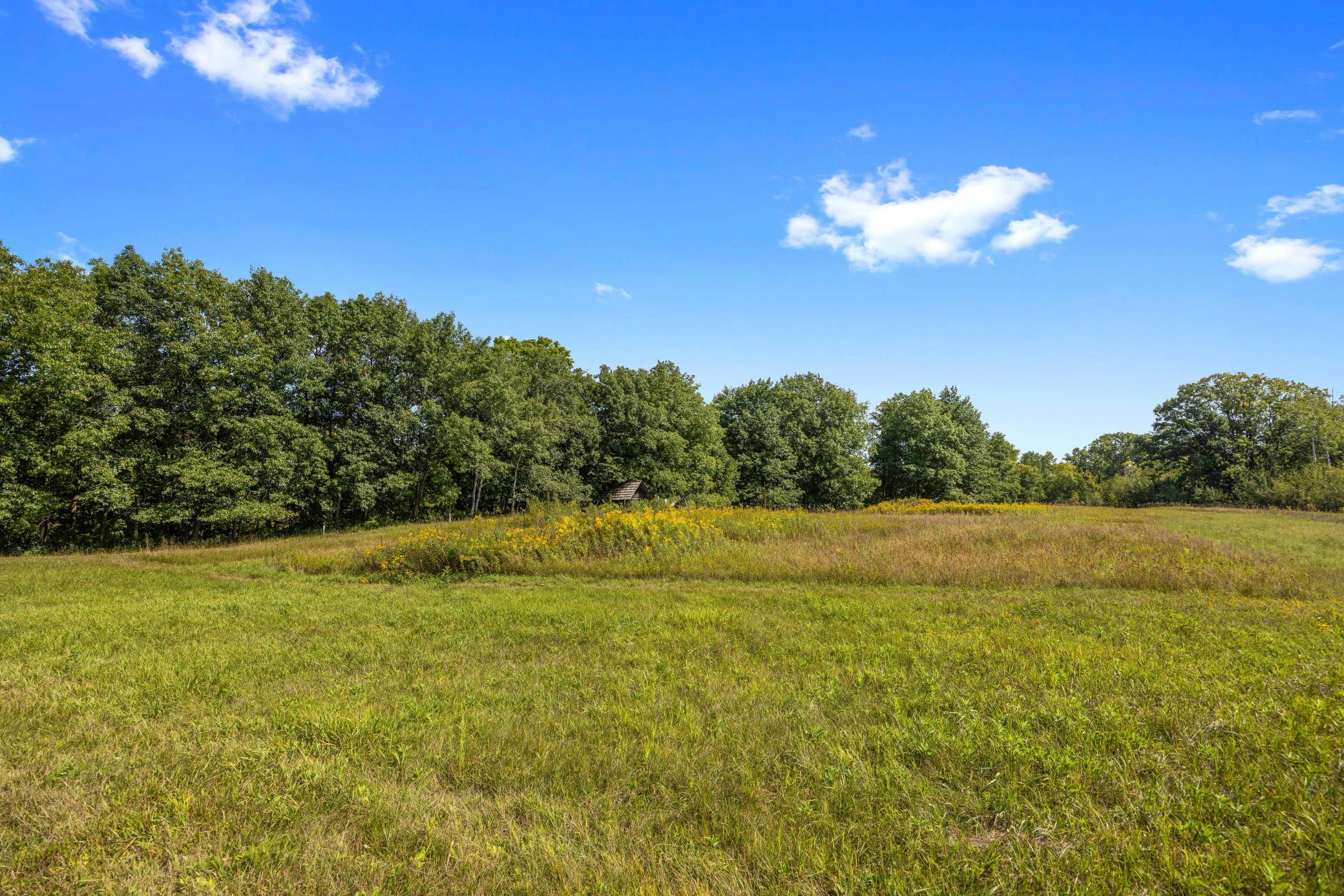 View of Land at XXX County Road 12, Princeton MN 55371, Princeton (31 of 67) - Mike Wilen | Minnesota Team Real Estate
