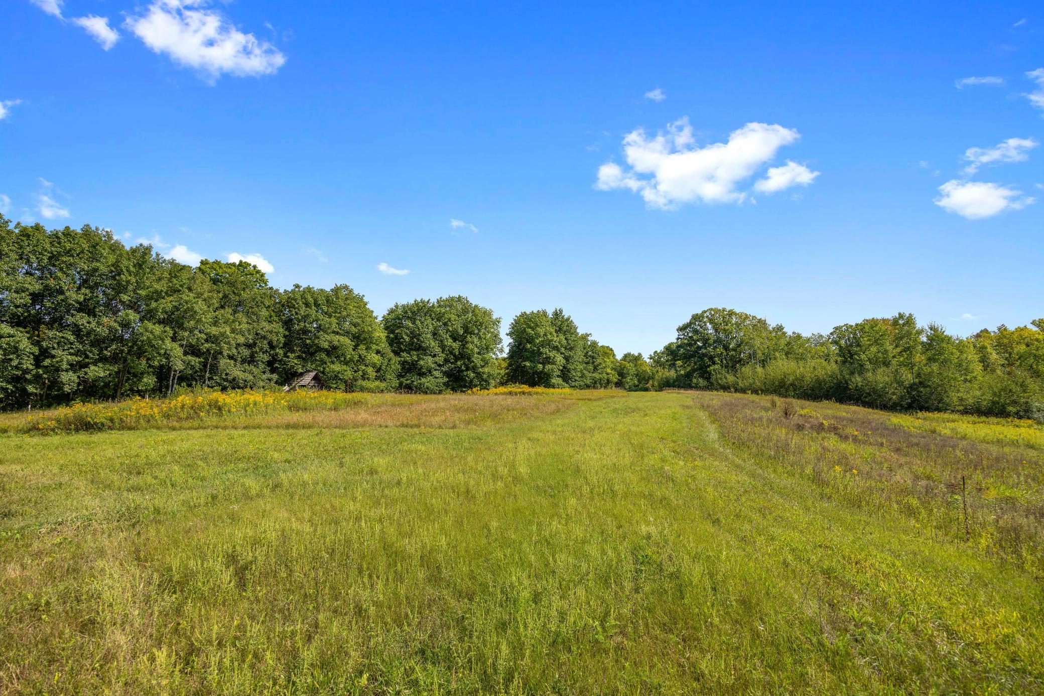 View of Land at XXX County Road 12, Princeton MN 55371, Princeton - Mike Wilen | Minnesota Team Real Estate