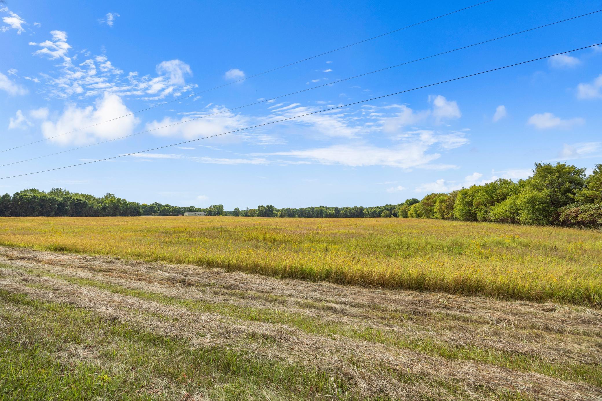 View of Land at XXX County Road 12, Princeton MN 55371, Princeton (18 of 67) - Mike Wilen | Minnesota Team Real Estate