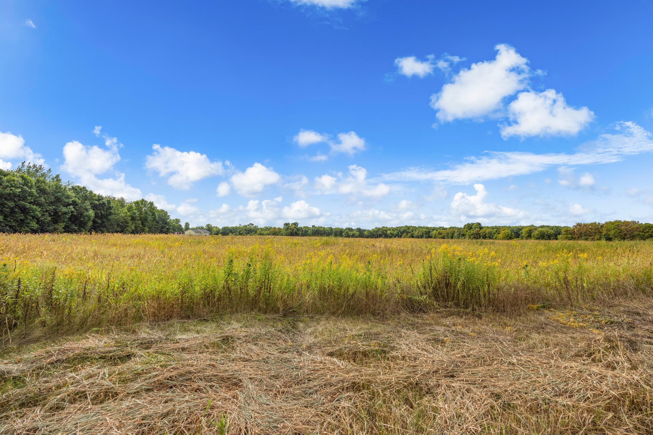 View of Land at XXX County Road 12, Princeton MN 55371, Princeton (8 of 67) - Mike Wilen | Minnesota Team Real Estate