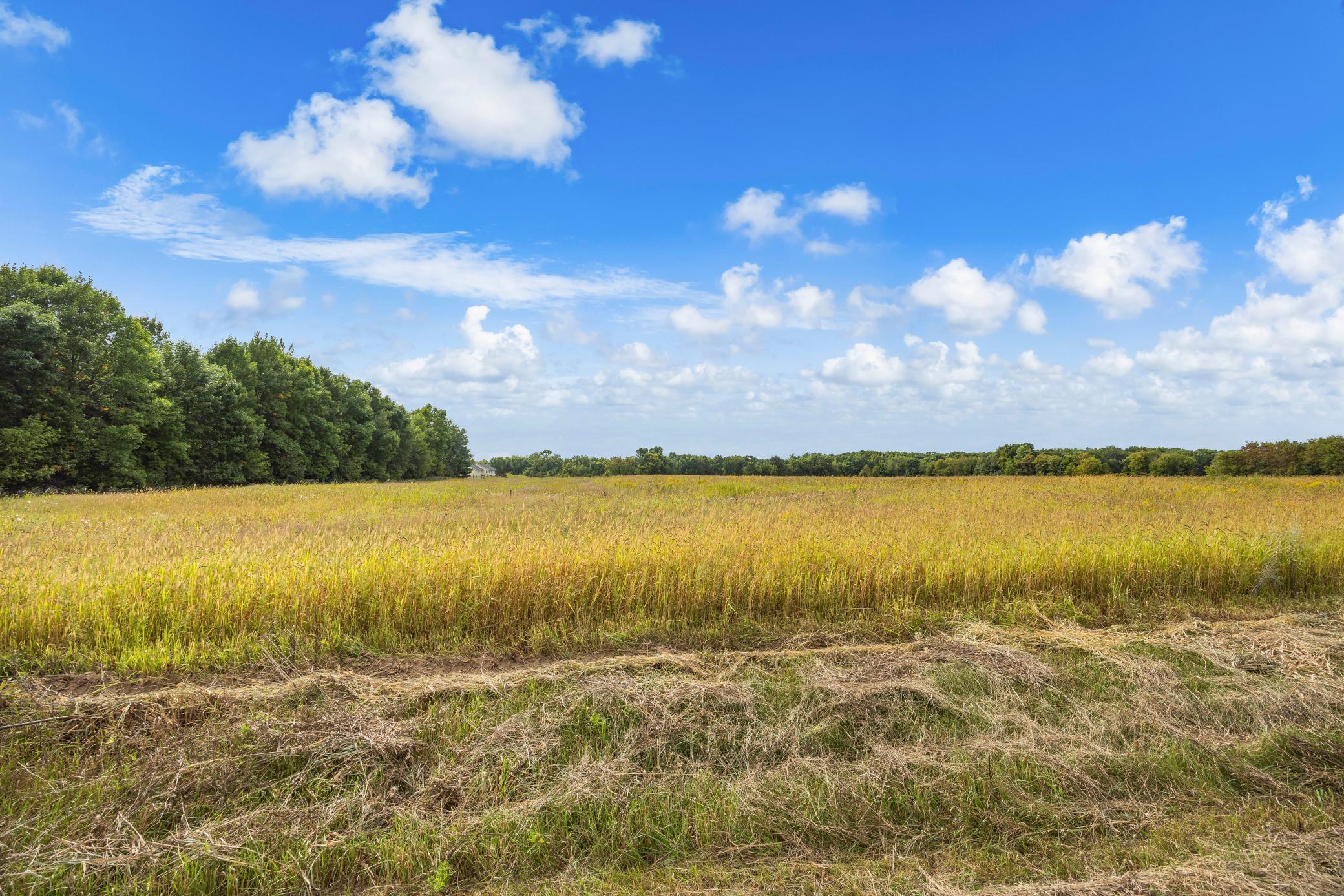 View of Land at XXX County Road 12, Princeton MN 55371, Princeton (5 of 67) - Mike Wilen | Minnesota Team Real Estate
