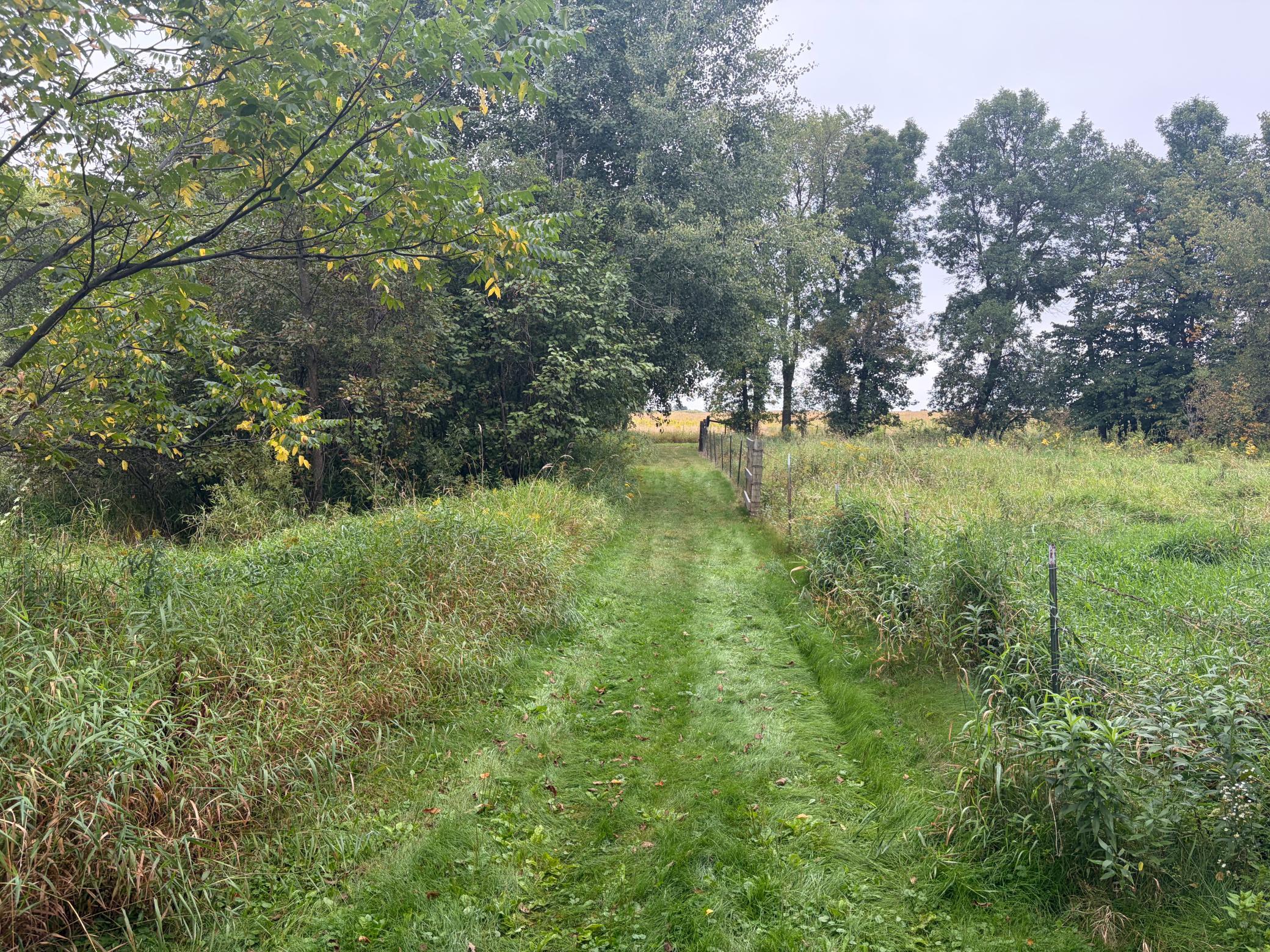 View of Land at XXX County Road 12, Princeton MN 55371, Princeton (47 of 67) - Mike Wilen | Minnesota Team Real Estate