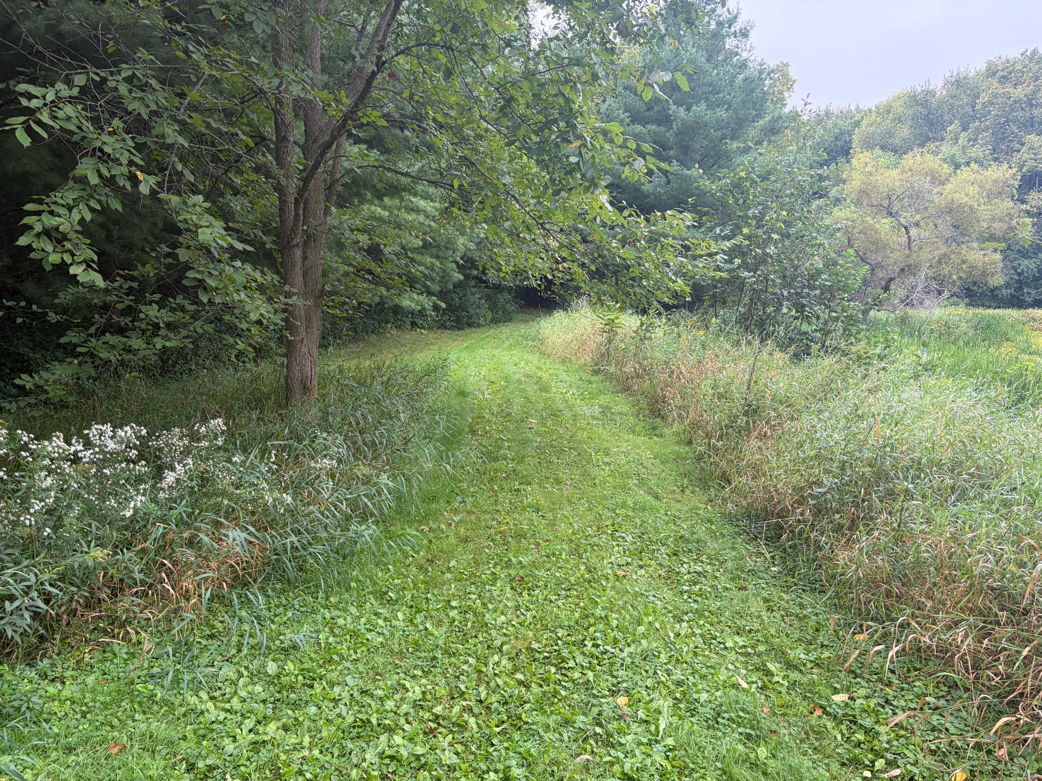 View of Land at XXX County Road 12, Princeton MN 55371, Princeton (46 of 67) - Mike Wilen | Minnesota Team Real Estate